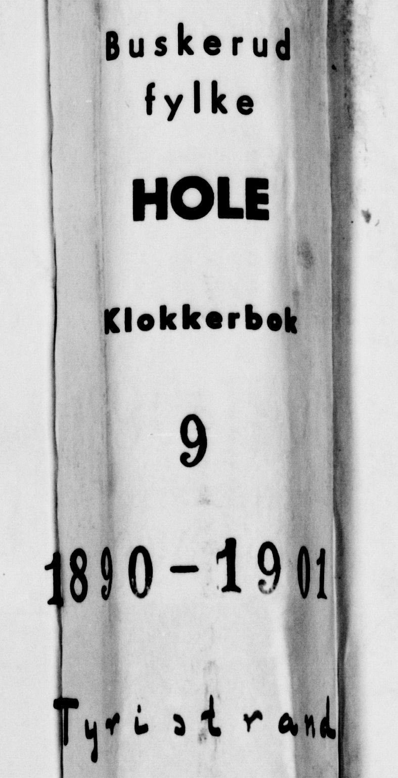 Hole kirkebøker, SAKO/A-228/G/Gb/L0003: Parish register (copy) no. II 3, 1890-1901