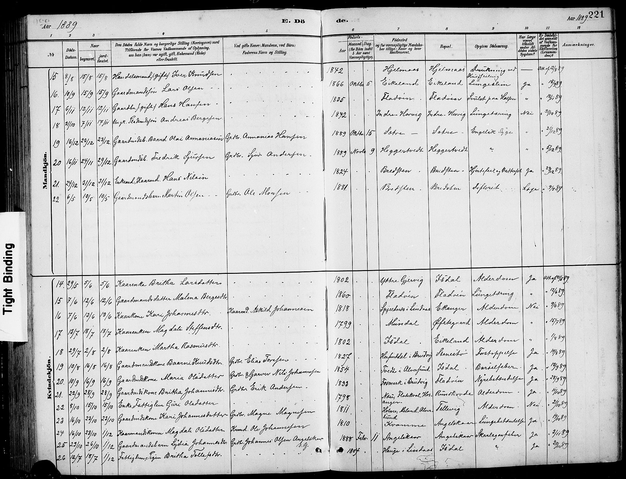 Hamre sokneprestembete, AV/SAB-A-75501/H/Ha/Hab: Parish register (copy) no. B 3, 1881-1898, p. 221