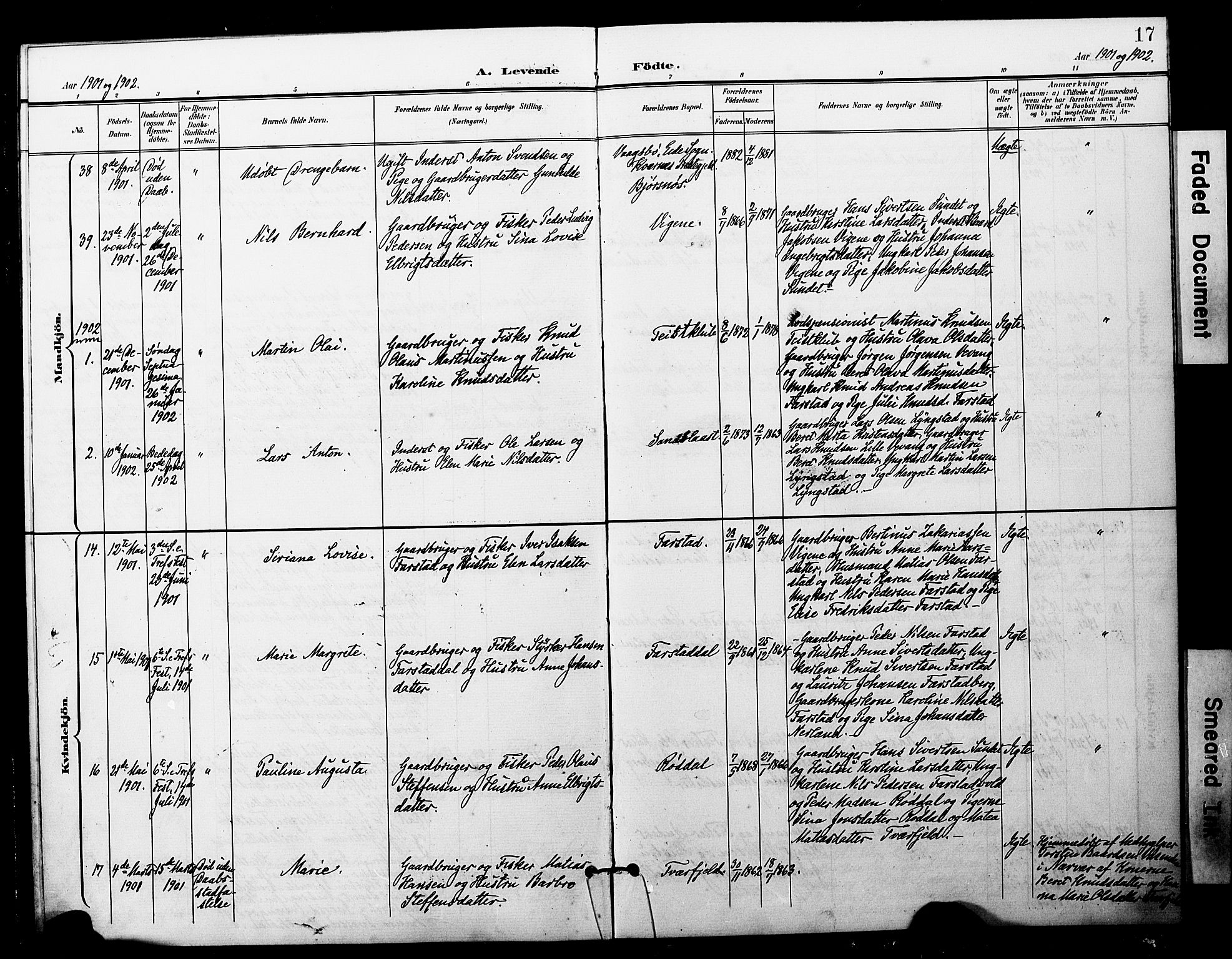 Ministerialprotokoller, klokkerbøker og fødselsregistre - Møre og Romsdal, AV/SAT-A-1454/567/L0779: Parish register (official) no. 567A02, 1898-1902, p. 17