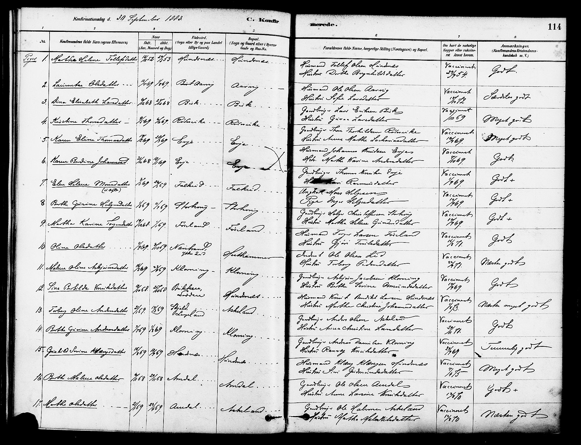 Tysvær sokneprestkontor, AV/SAST-A -101864/H/Ha/Haa/L0006: Parish register (official) no. A 6, 1878-1896, p. 114