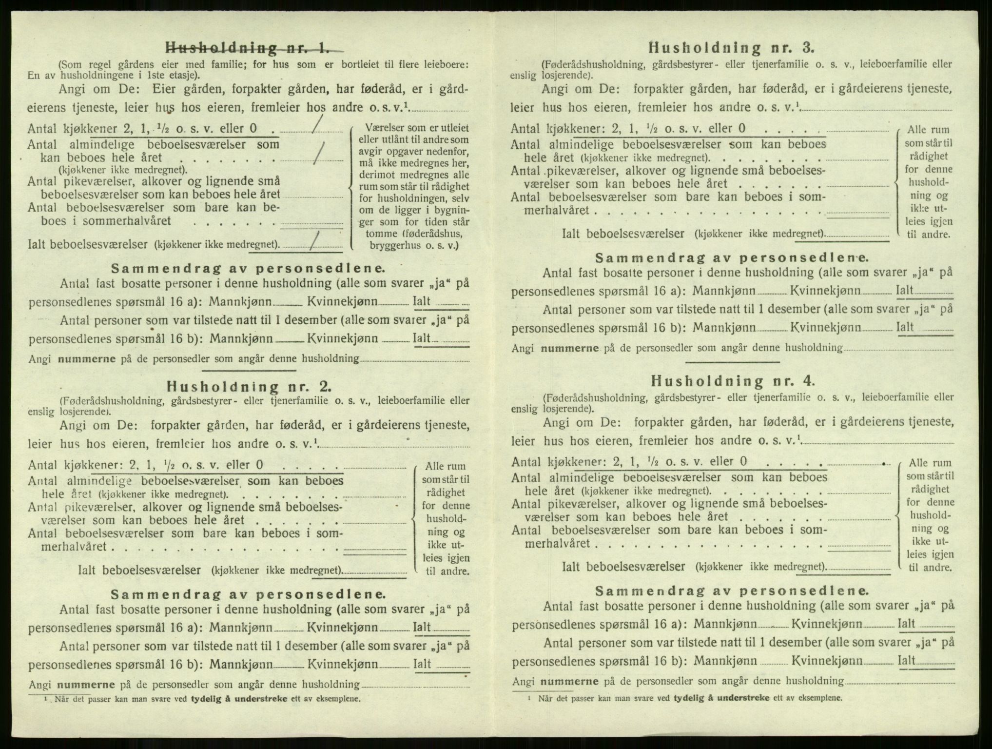 SAKO, 1920 census for Ramnes, 1920, p. 410