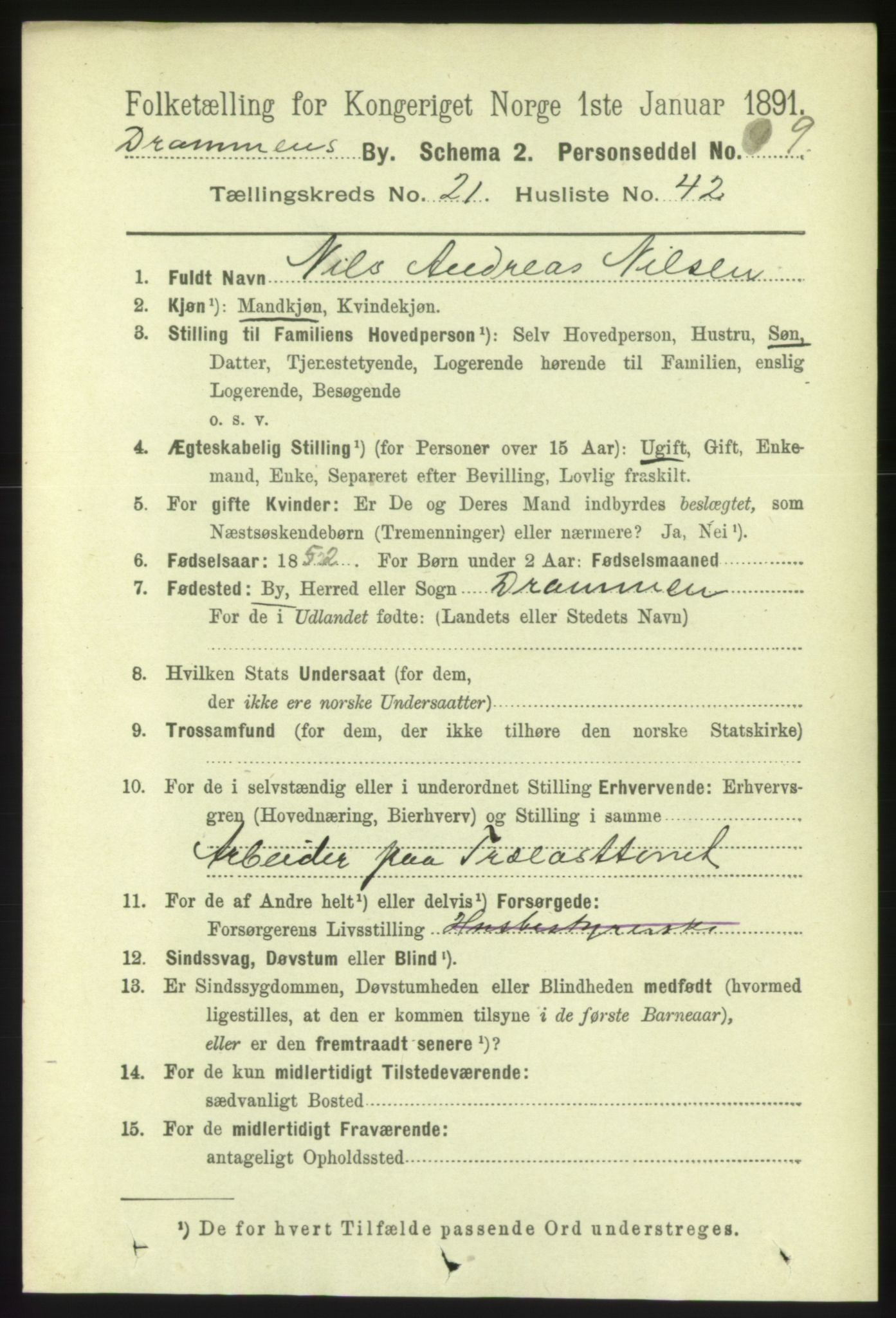 RA, 1891 census for 0602 Drammen, 1891, p. 13546