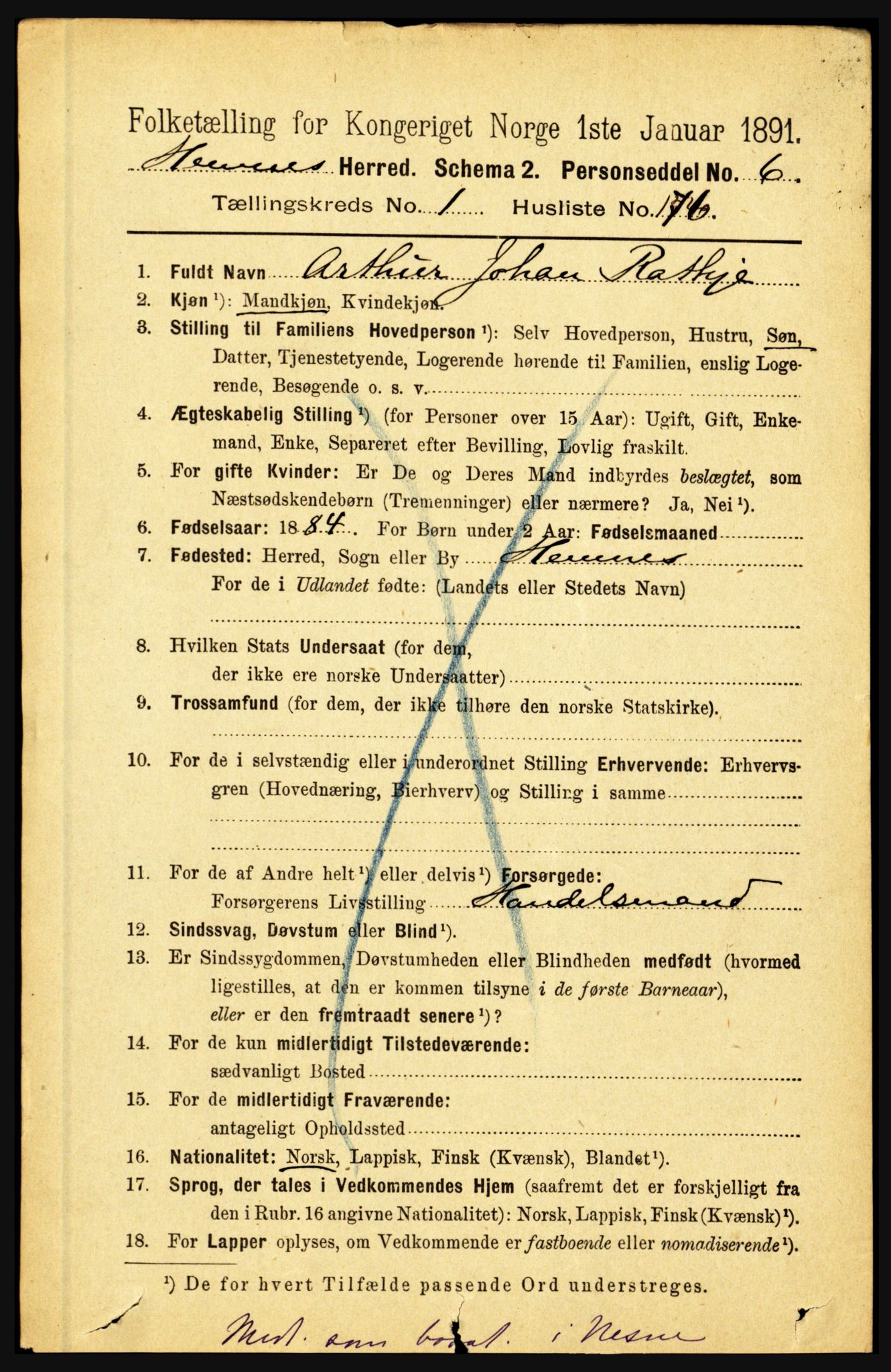 RA, 1891 census for 1832 Hemnes, 1891, p. 1203