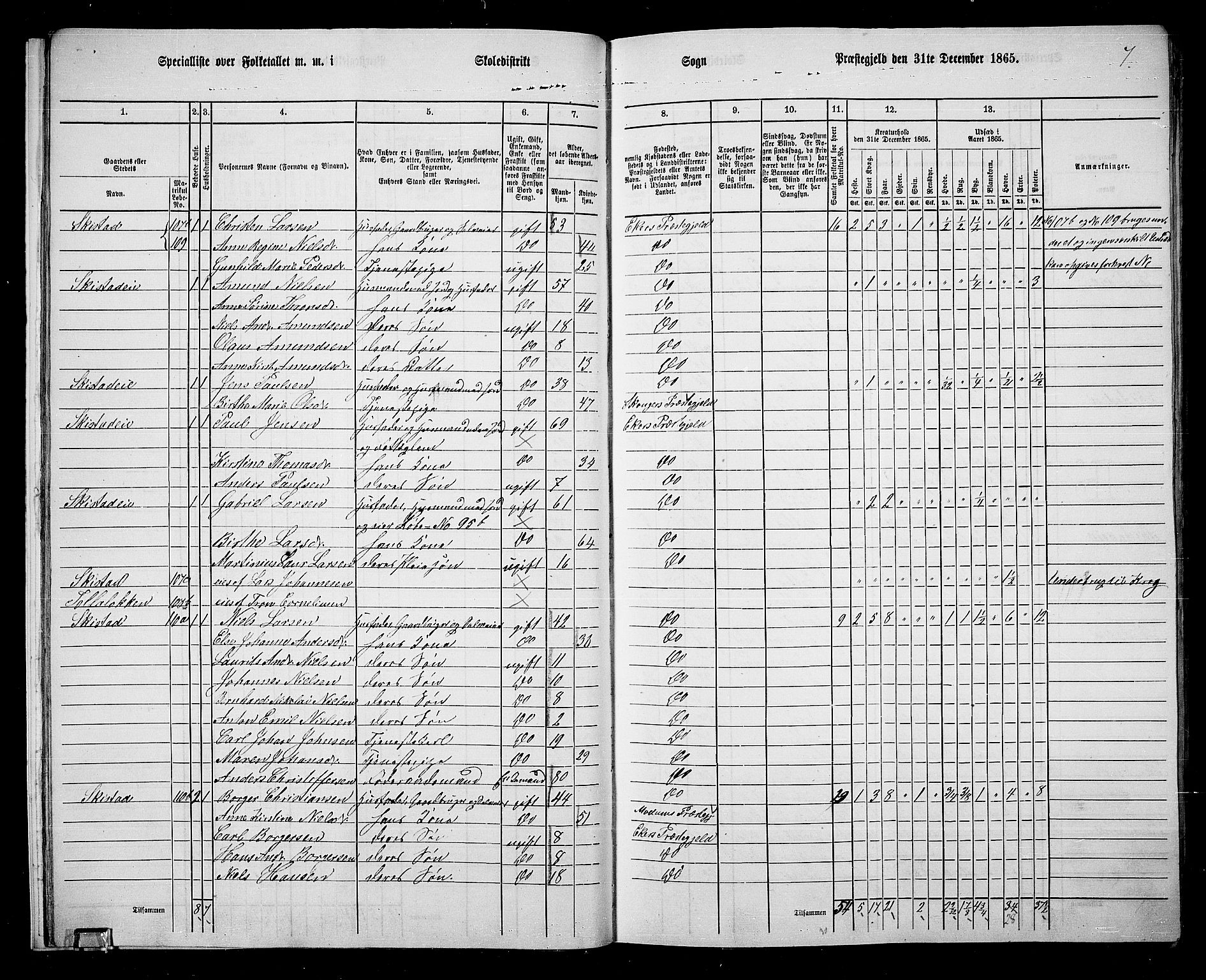 RA, 1865 census for Eiker, 1865, p. 20