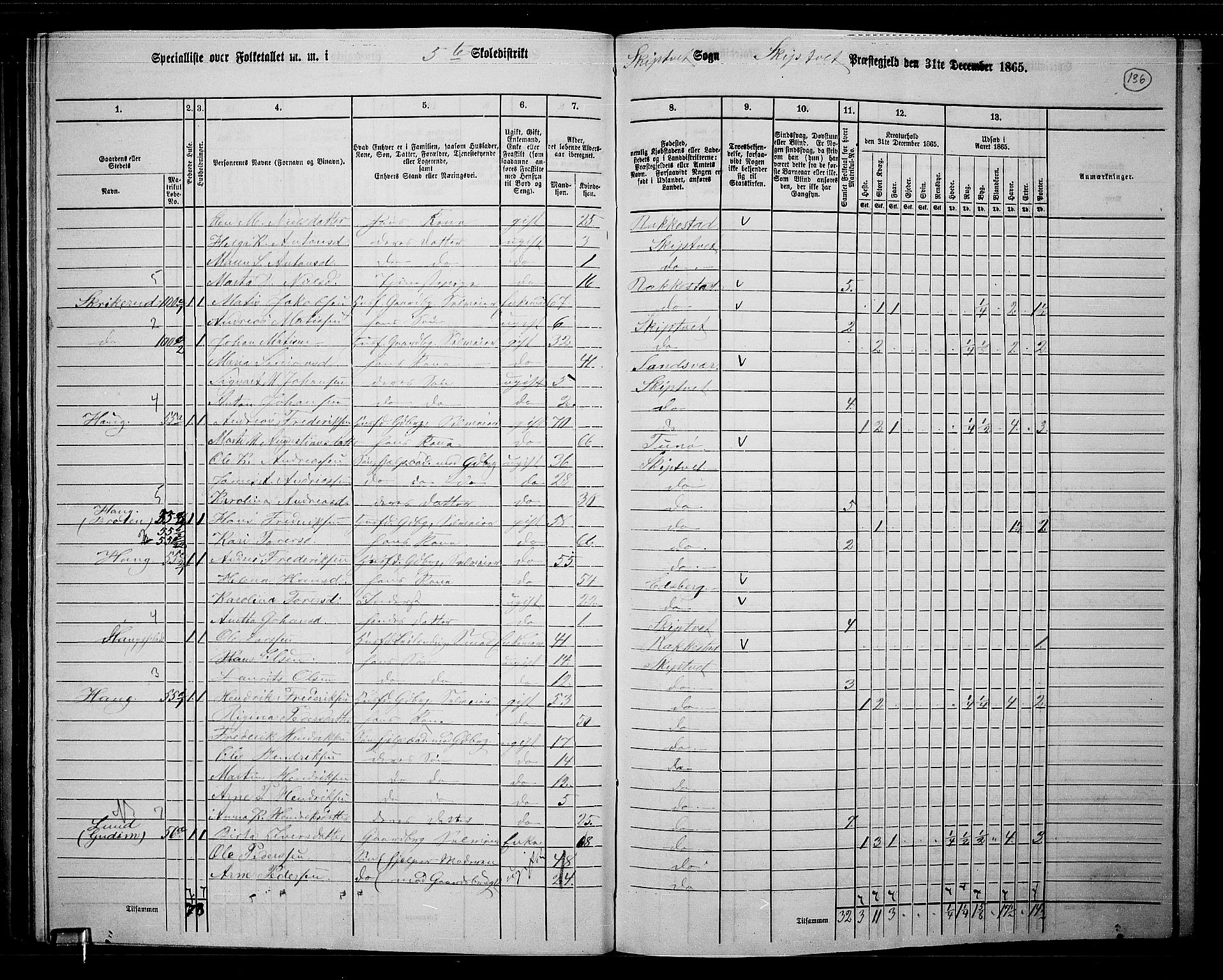 RA, 1865 census for Skiptvet, 1865, p. 119