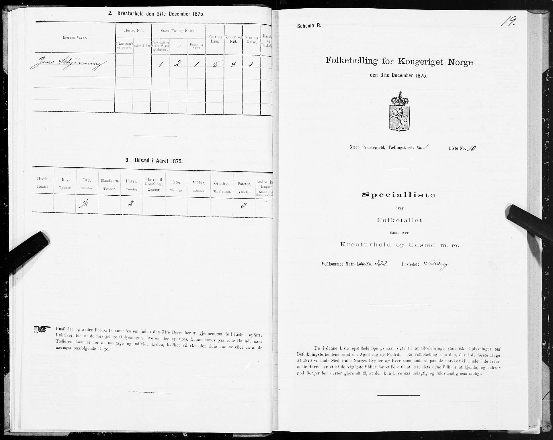 SAT, 1875 census for 1751P Nærøy, 1875, p. 1019