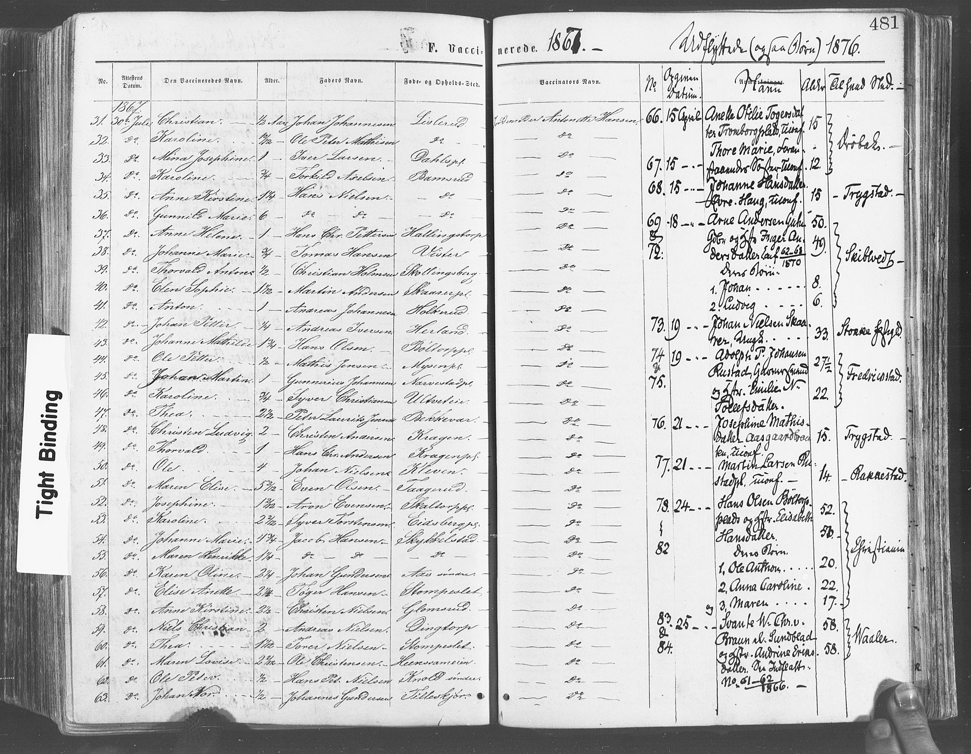 Eidsberg prestekontor Kirkebøker, SAO/A-10905/F/Fa/L0011: Parish register (official) no. I 11, 1867-1878, p. 481