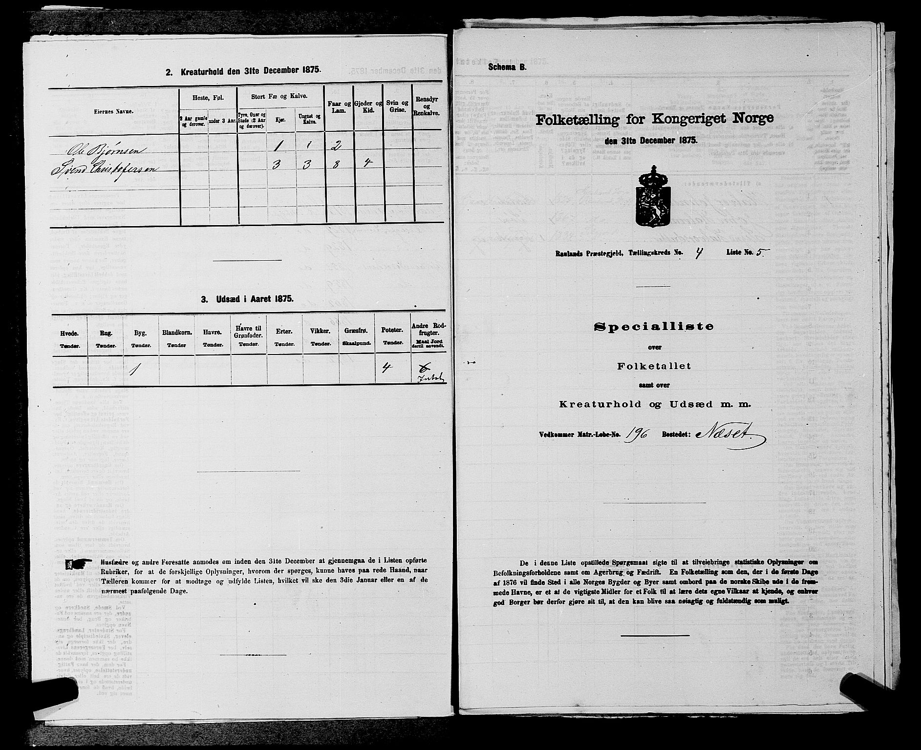 SAKO, 1875 census for 0835P Rauland, 1875, p. 234