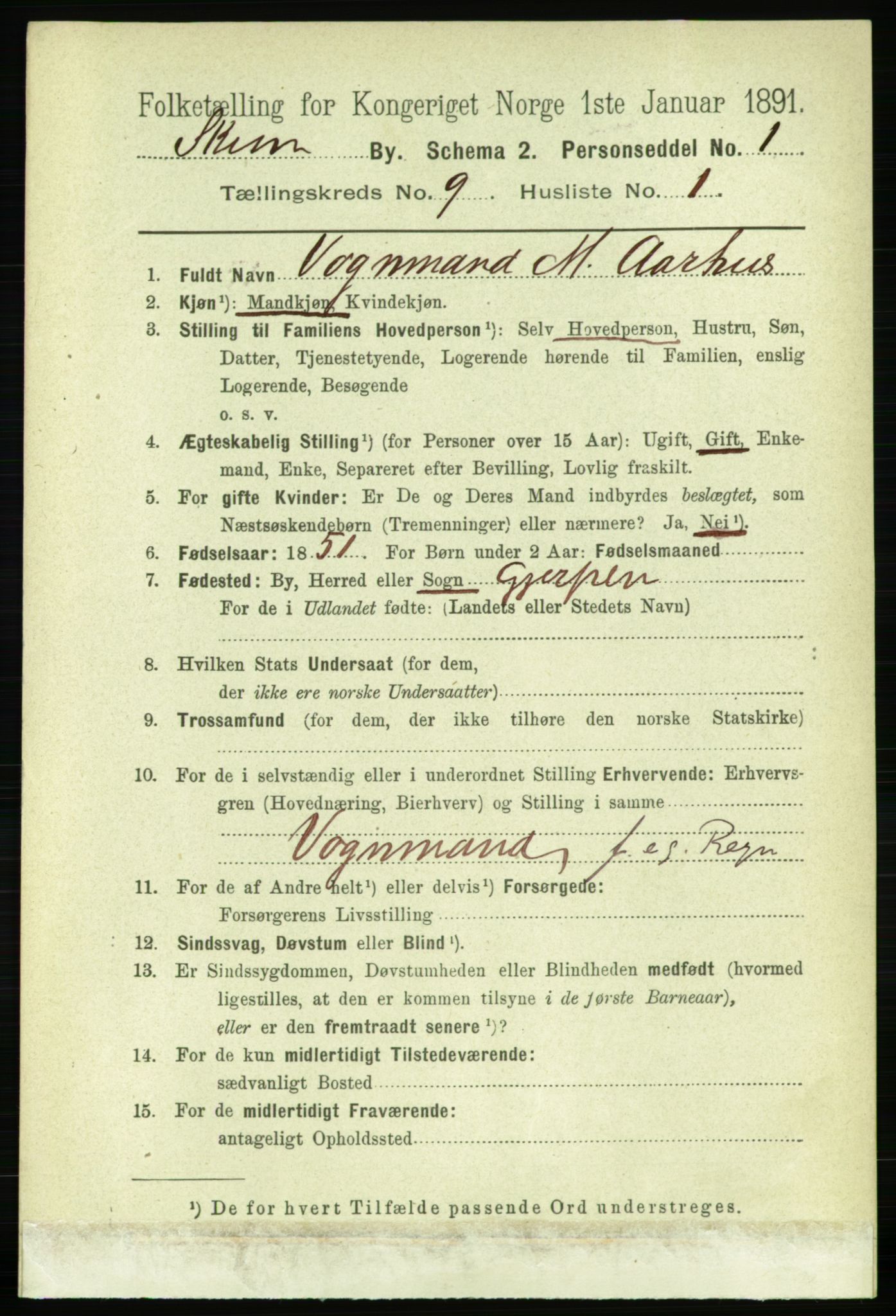 RA, 1891 census for 0806 Skien, 1891, p. 3517