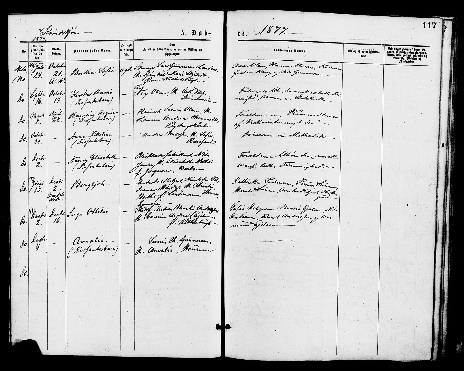 Barbu sokneprestkontor, AV/SAK-1111-0003/F/Fa/L0001: Parish register (official) no. A 1 /2, 1877-1877, p. 117