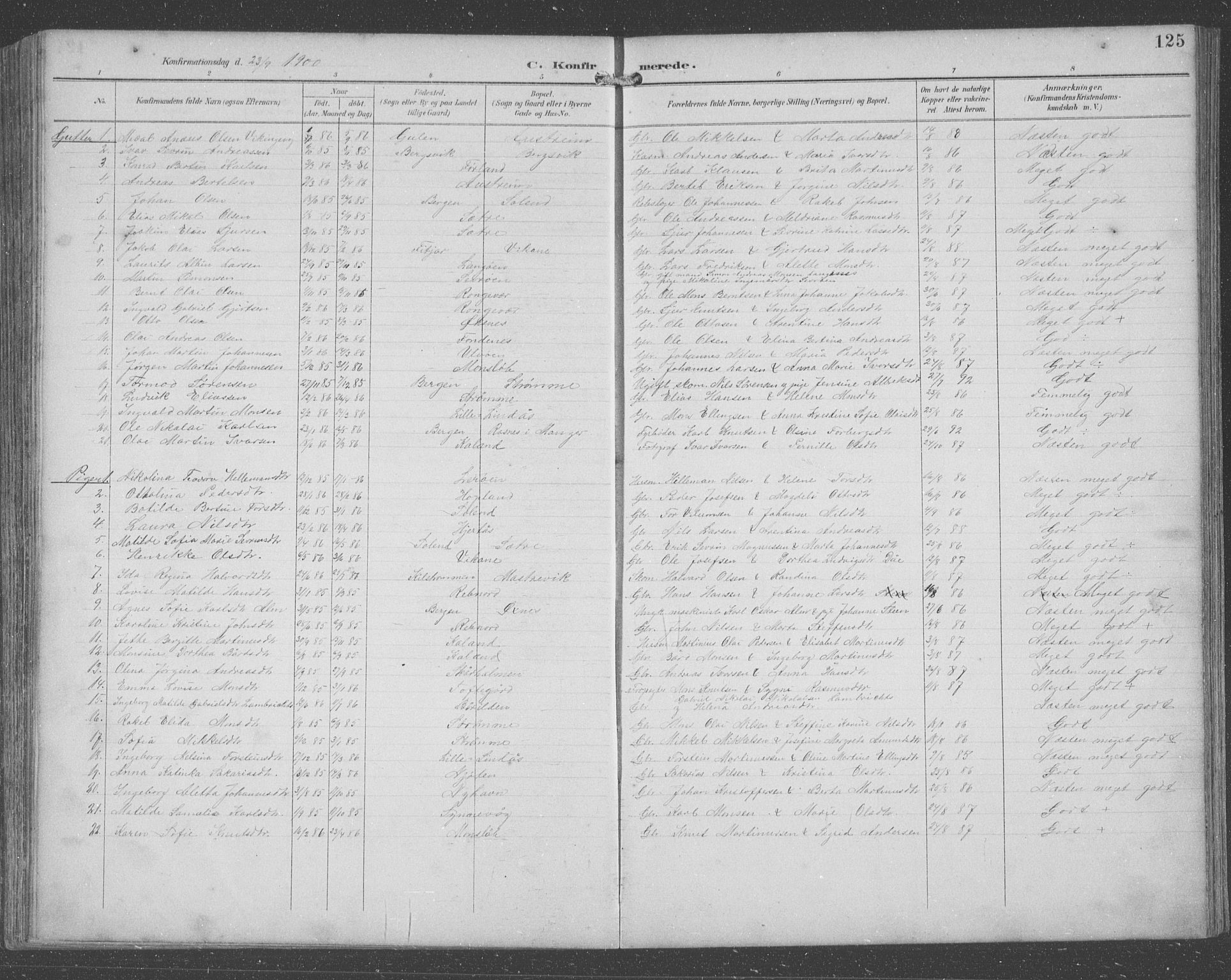Lindås Sokneprestembete, SAB/A-76701/H/Hab: Parish register (copy) no. C 4, 1894-1910, p. 125