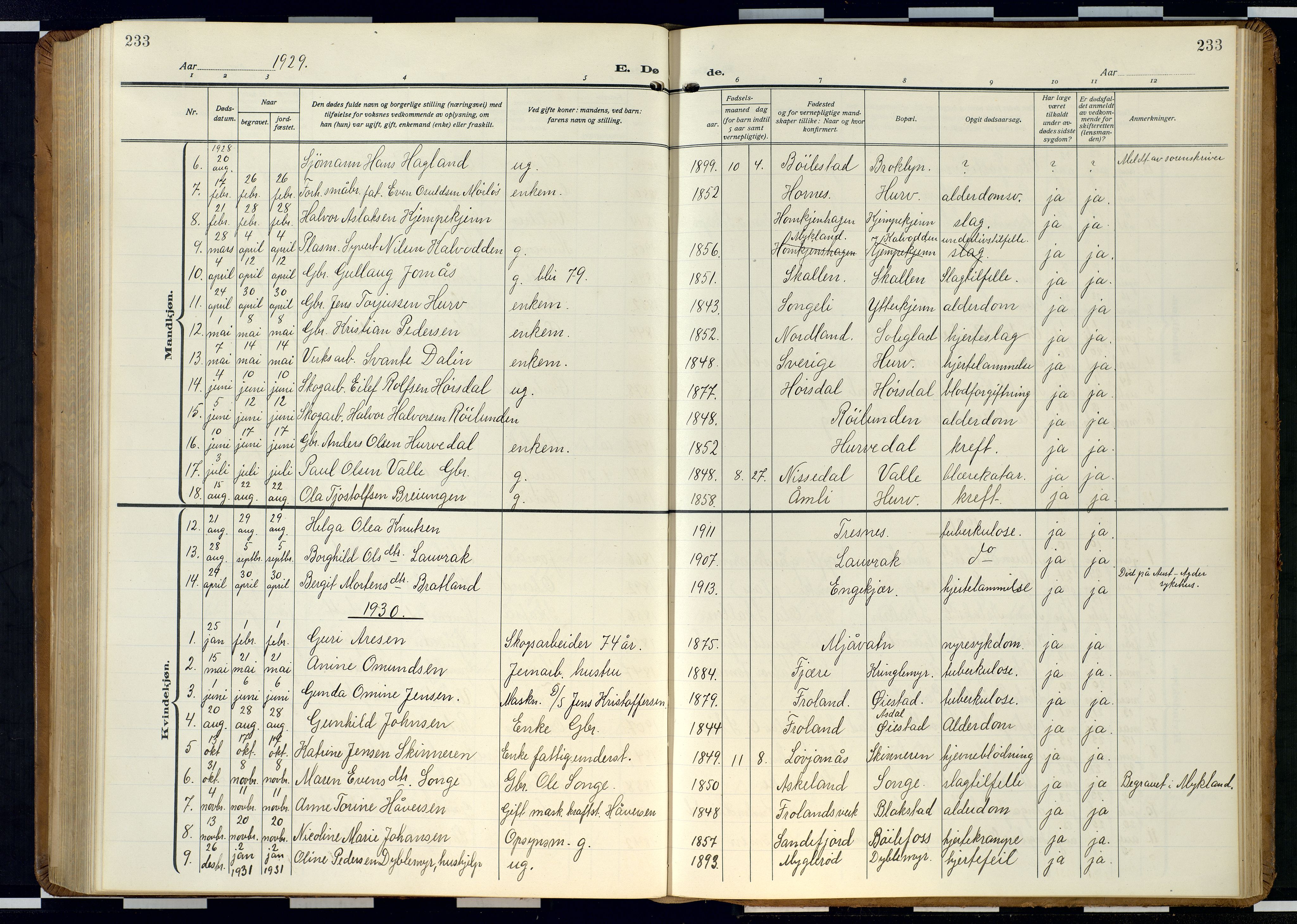 Froland sokneprestkontor, SAK/1111-0013/F/Fb/L0011: Parish register (copy) no. B 11, 1921-1947, p. 233