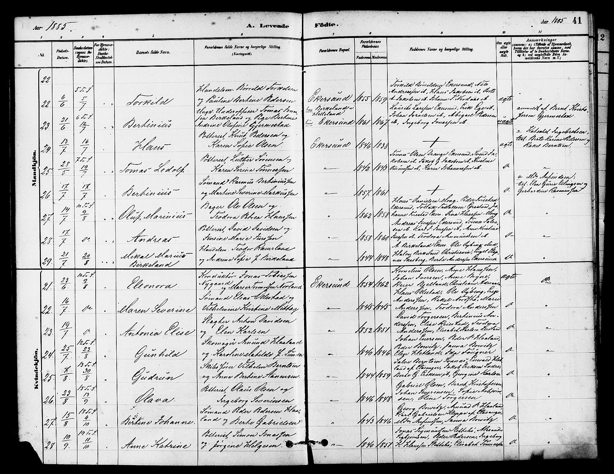 Eigersund sokneprestkontor, AV/SAST-A-101807/S08/L0015: Parish register (official) no. A 15, 1879-1892, p. 41