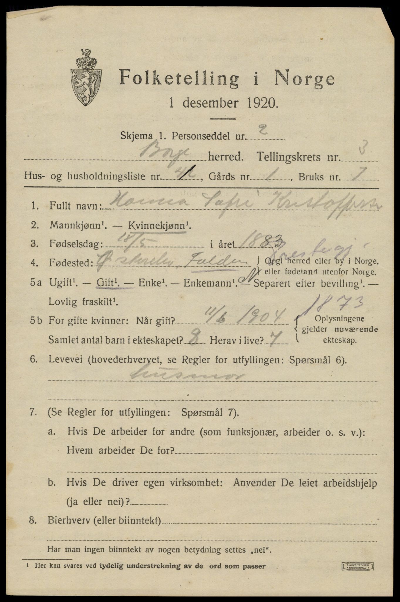 SAT, 1920 census for Borge, 1920, p. 3073