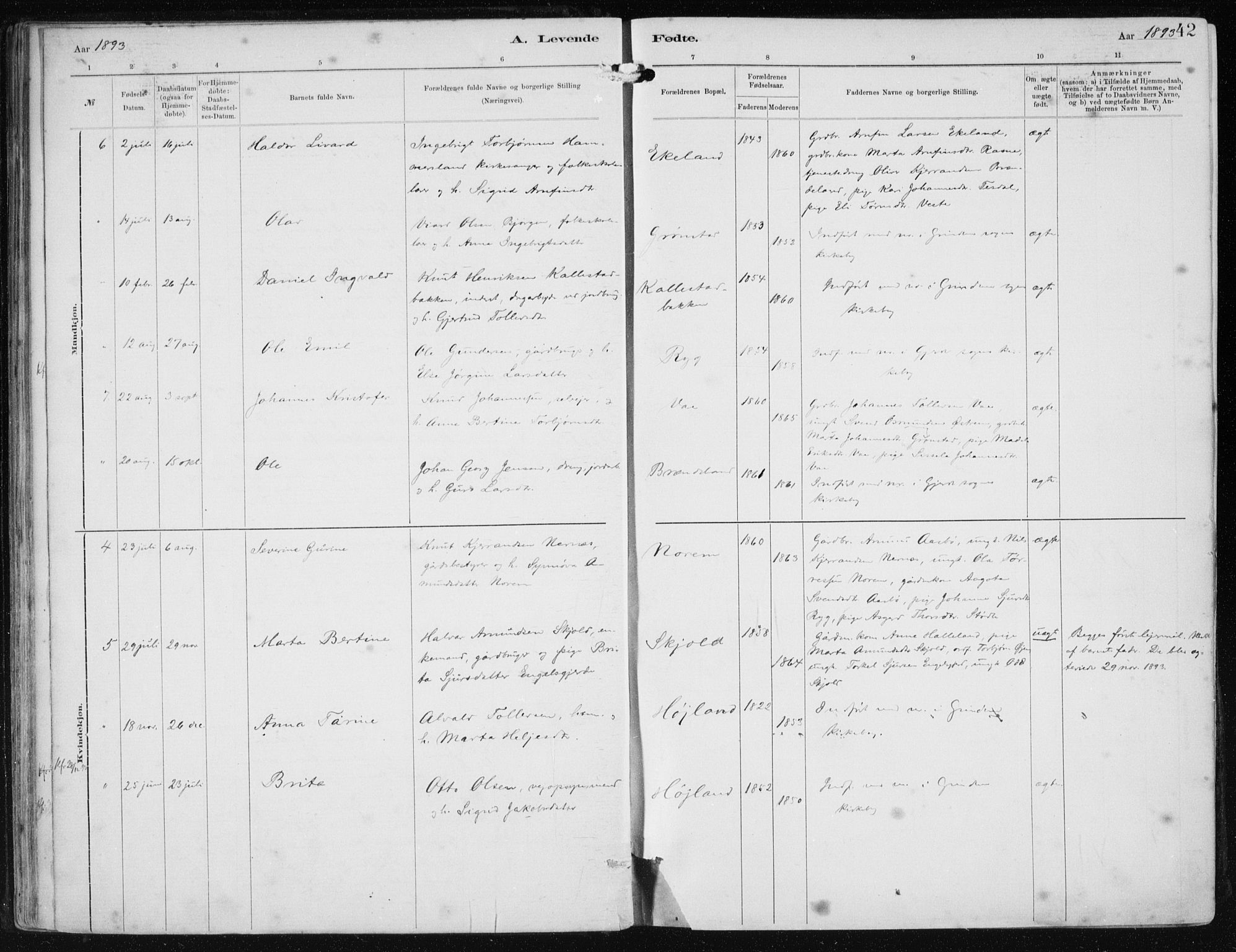 Etne sokneprestembete, AV/SAB-A-75001/H/Haa: Parish register (official) no. B  1, 1879-1919, p. 42