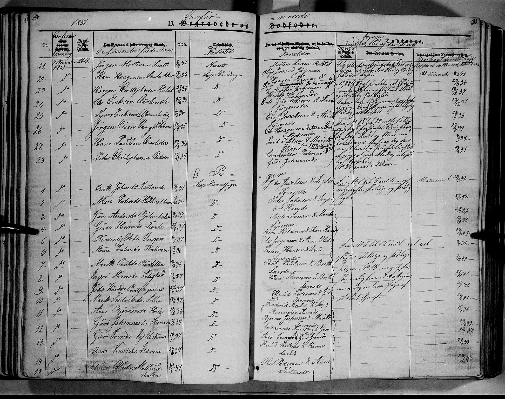 Lesja prestekontor, SAH/PREST-068/H/Ha/Haa/L0006: Parish register (official) no. 6B, 1843-1854, p. 732-733