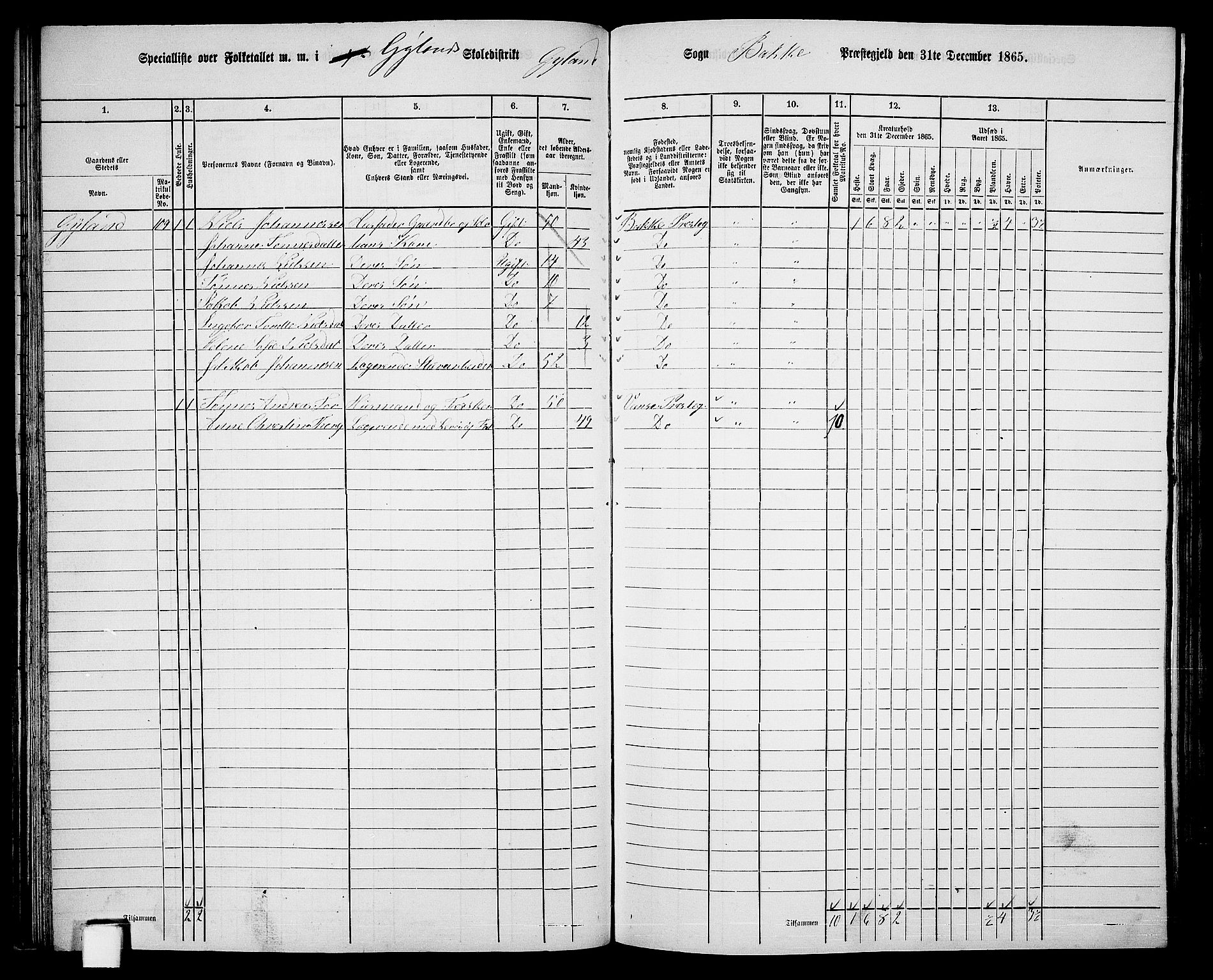 RA, 1865 census for Bakke, 1865, p. 46