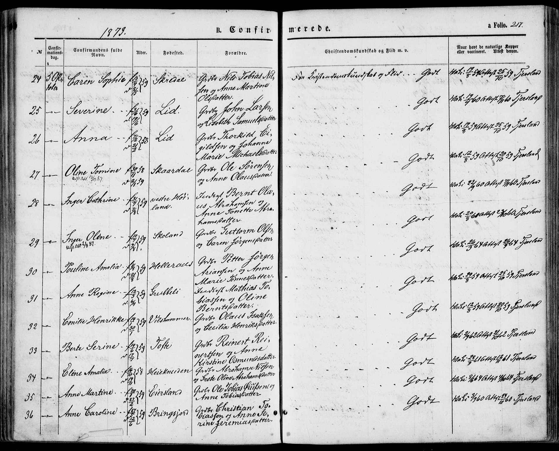 Lyngdal sokneprestkontor, AV/SAK-1111-0029/F/Fa/Fac/L0010: Parish register (official) no. A 10, 1865-1878, p. 217