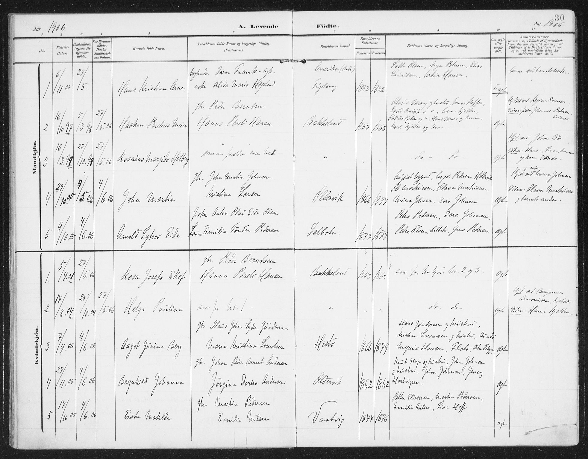 Ministerialprotokoller, klokkerbøker og fødselsregistre - Nordland, AV/SAT-A-1459/841/L0612: Parish register (official) no. 841A15, 1902-1910, p. 30