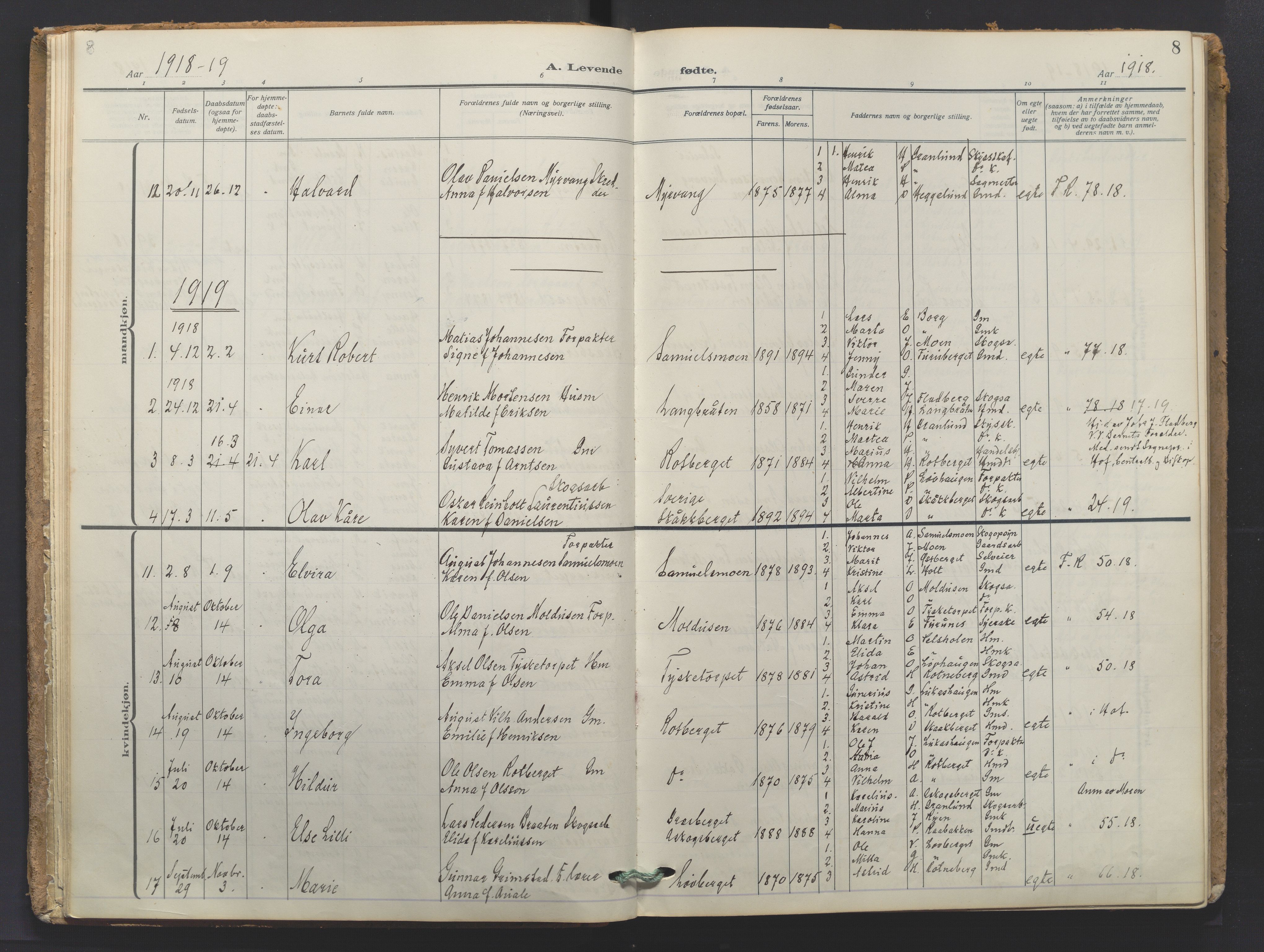 Grue prestekontor, SAH/PREST-036/H/Ha/Haa/L0016: Parish register (official) no. 16, 1916-1947, p. 8