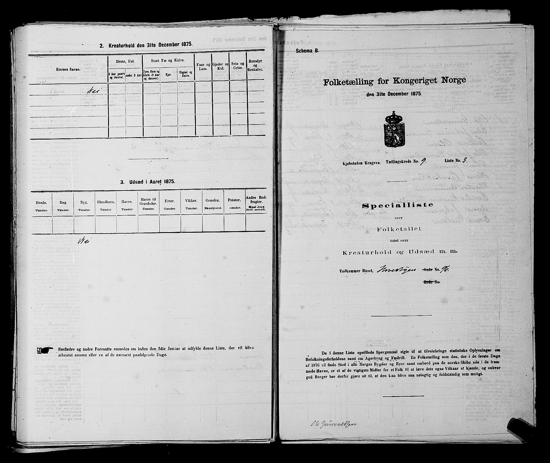 SAKO, 1875 census for 0801P Kragerø, 1875, p. 196