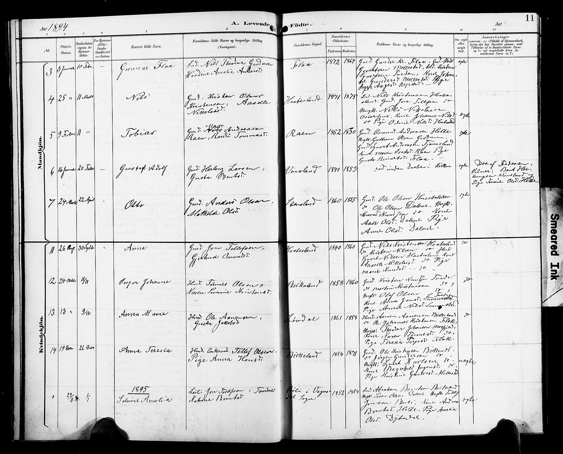 Birkenes sokneprestkontor, SAK/1111-0004/F/Fb/L0004: Parish register (copy) no. B 4, 1893-1930, p. 11