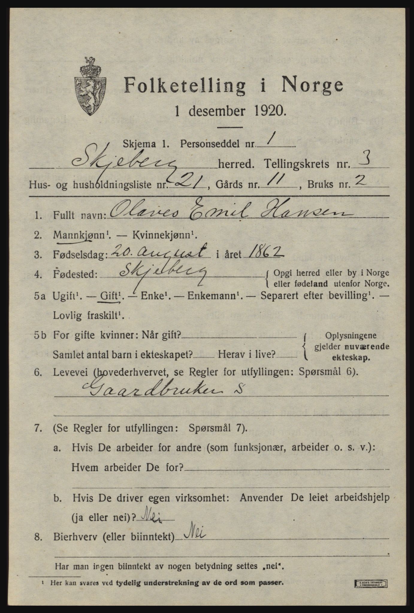 SAO, 1920 census for Skjeberg, 1920, p. 4611