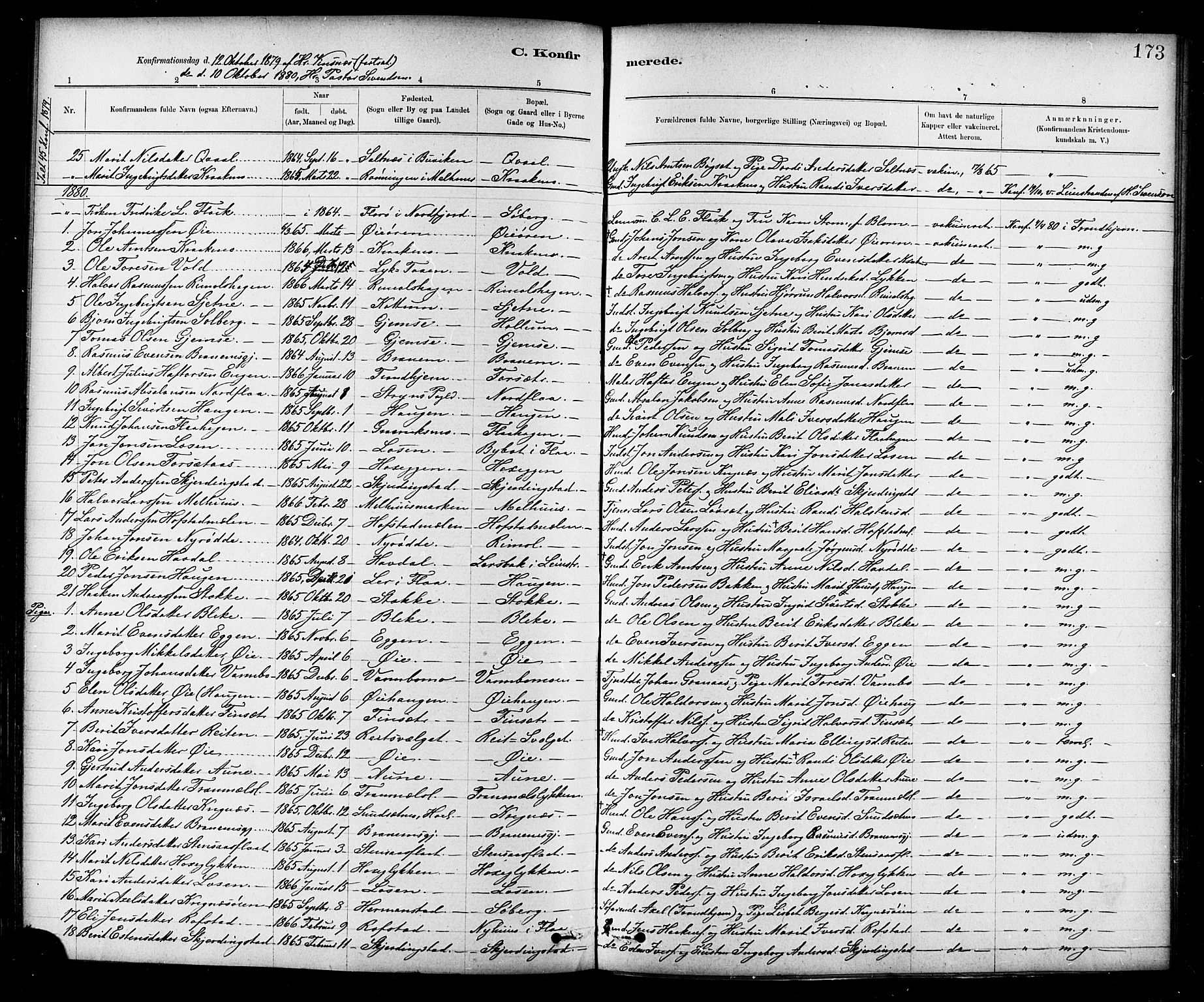 Ministerialprotokoller, klokkerbøker og fødselsregistre - Sør-Trøndelag, SAT/A-1456/691/L1094: Parish register (copy) no. 691C05, 1879-1911, p. 173
