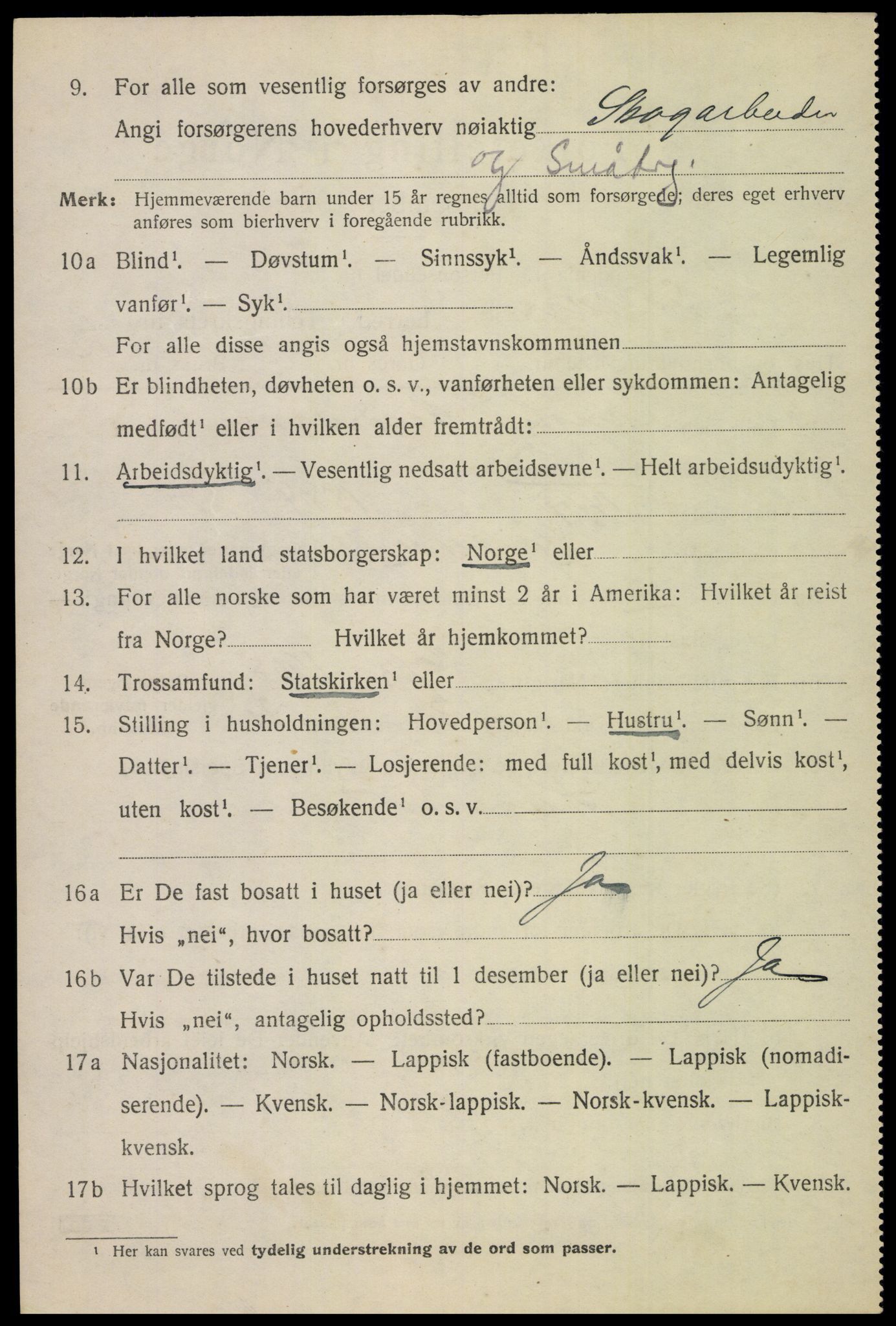 SAT, 1920 census for Saltdal, 1920, p. 3154