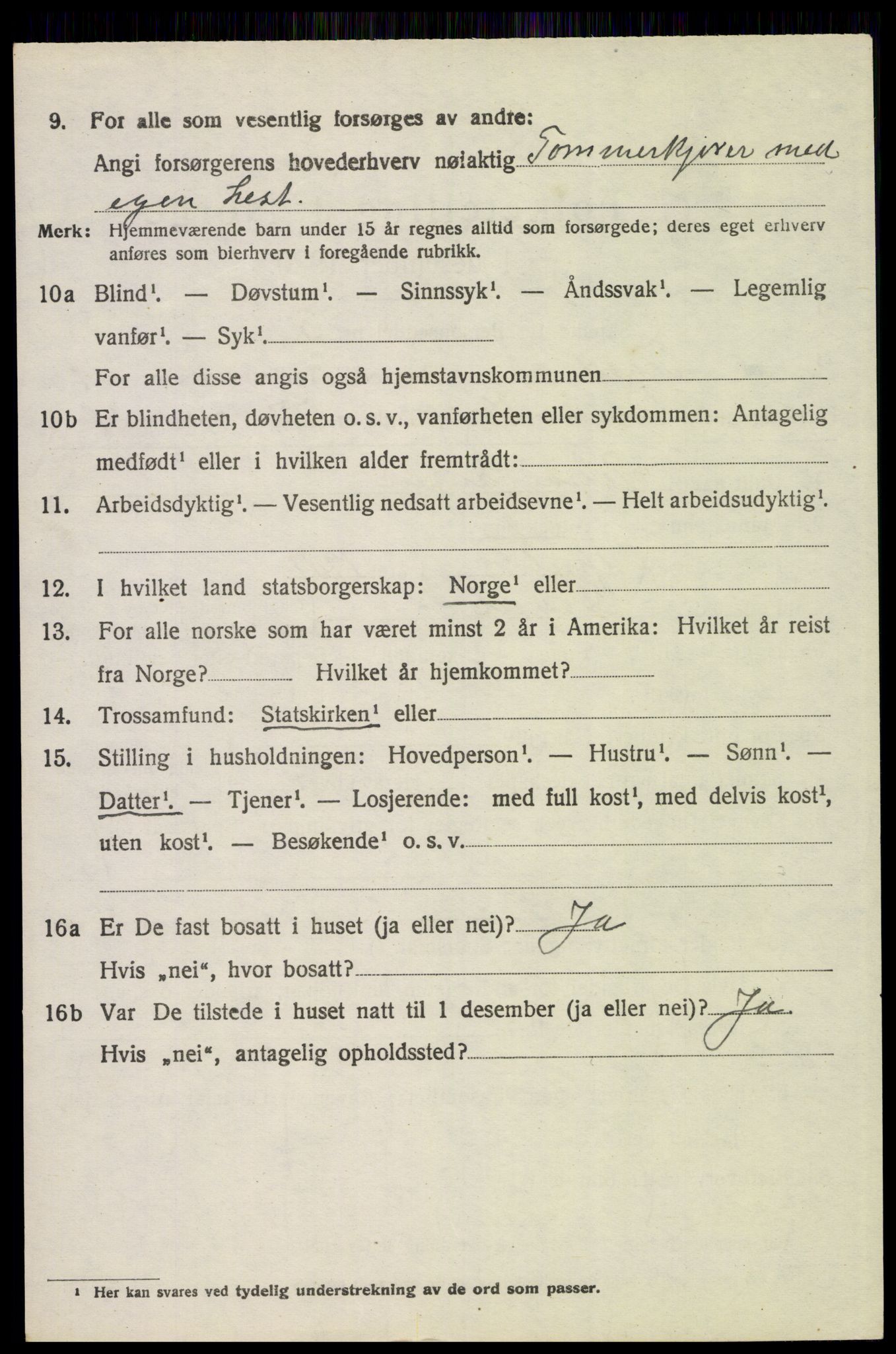 SAH, 1920 census for Trysil, 1920, p. 15684