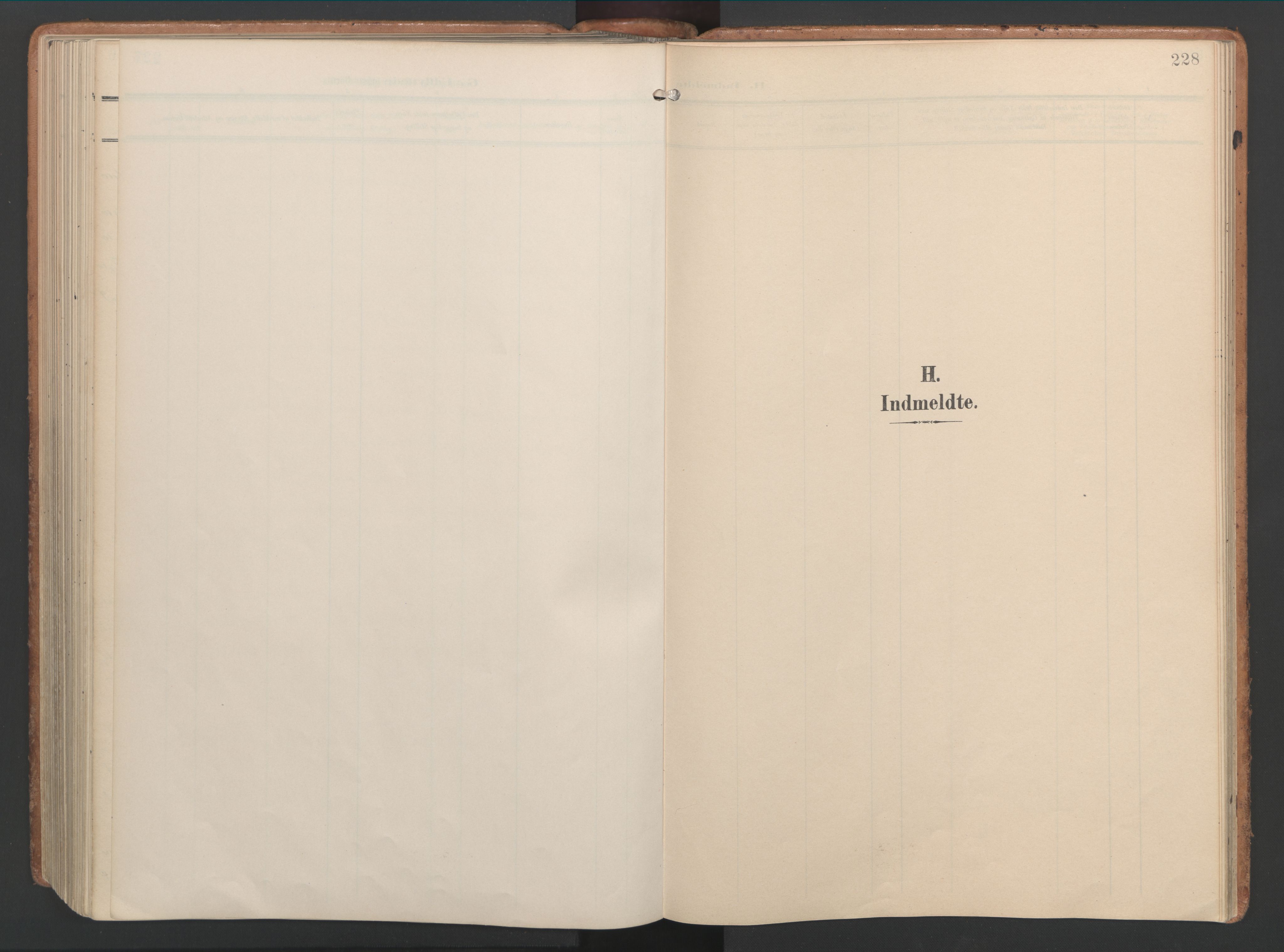 Ministerialprotokoller, klokkerbøker og fødselsregistre - Møre og Romsdal, SAT/A-1454/592/L1030: Parish register (official) no. 592A08, 1901-1925, p. 228