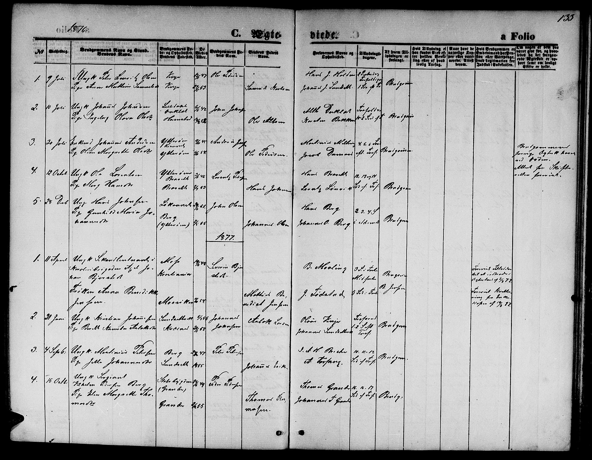 Ministerialprotokoller, klokkerbøker og fødselsregistre - Nord-Trøndelag, AV/SAT-A-1458/733/L0326: Parish register (copy) no. 733C01, 1871-1887, p. 133