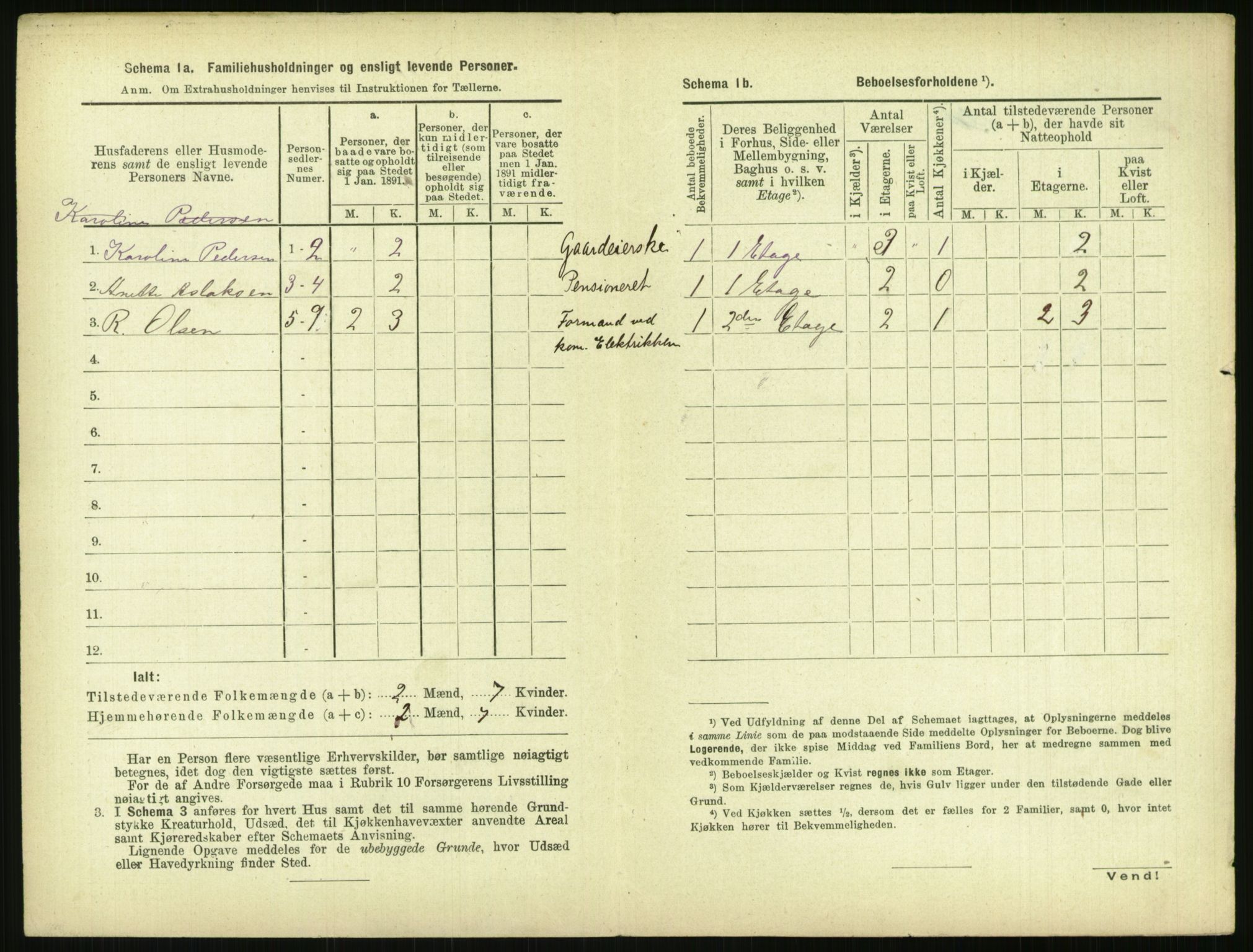 RA, 1891 census for 0806 Skien, 1891, p. 1535