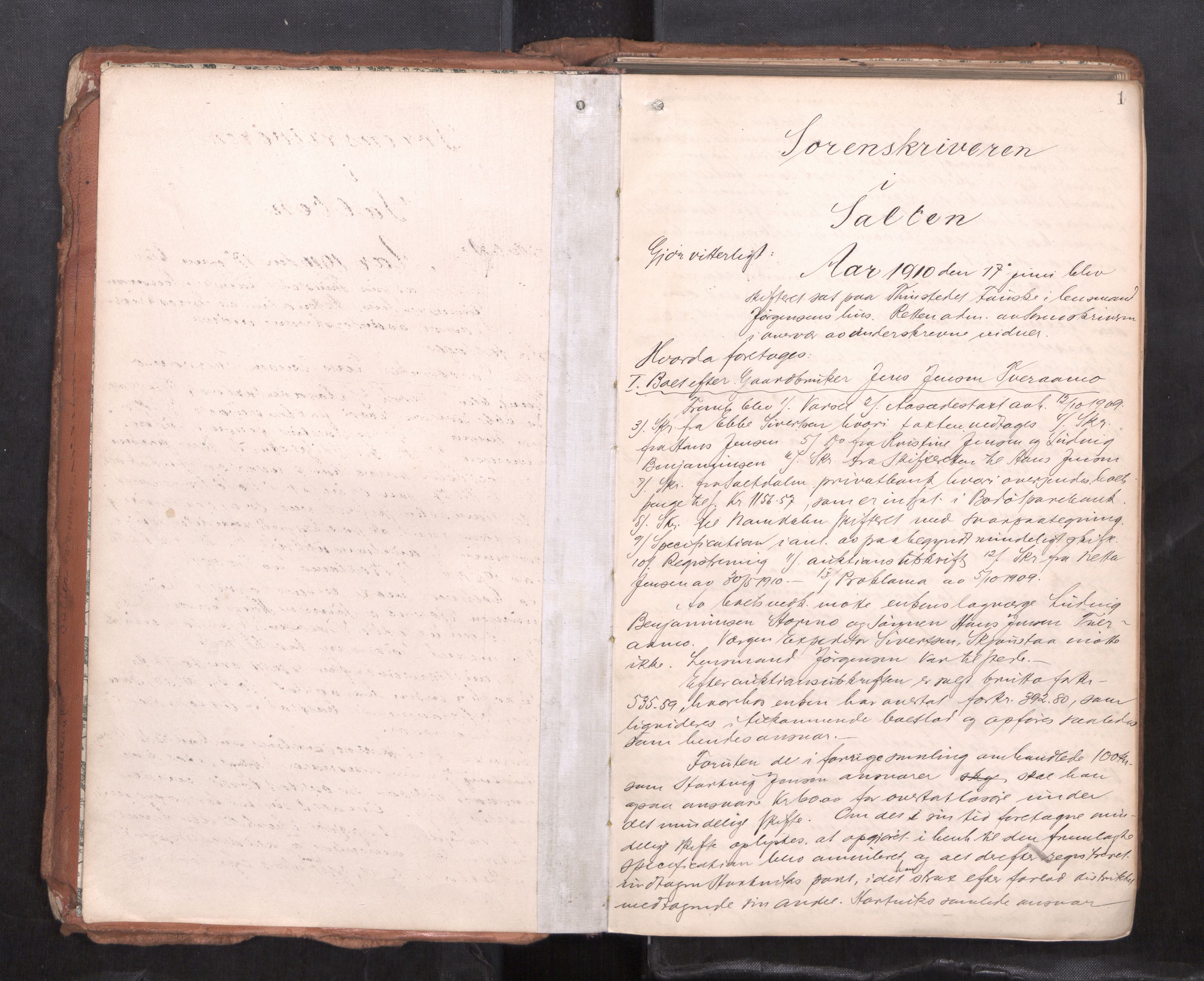 Salten sorenskriveri, AV/SAT-A-4578/1/3/3B/L0012: Skiftebehandlingsprotokoll, 1910-1915, p. 1