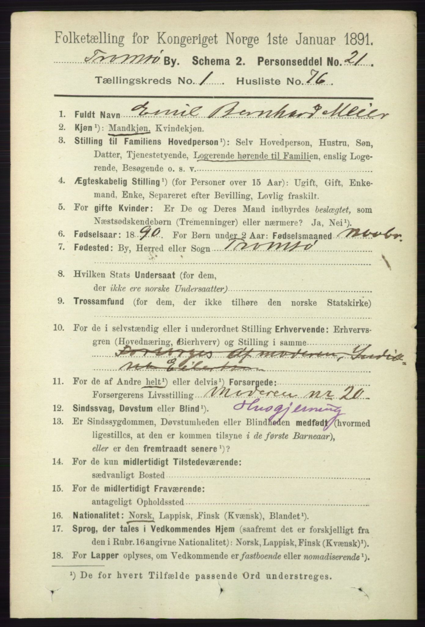 RA, 1891 census for 1902 Tromsø, 1891, p. 1066