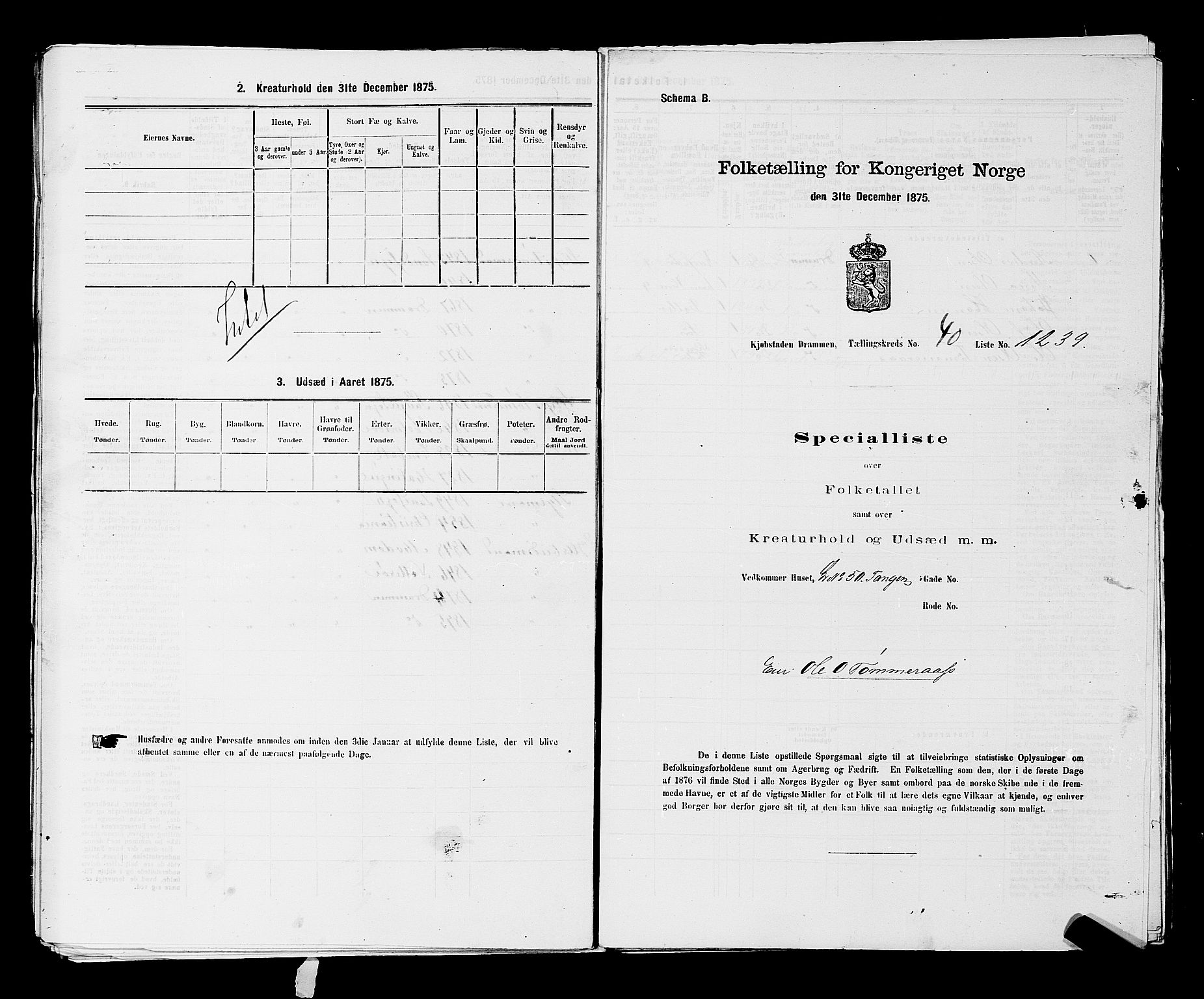 SAKO, 1875 census for 0602 Drammen, 1875, p. 3409