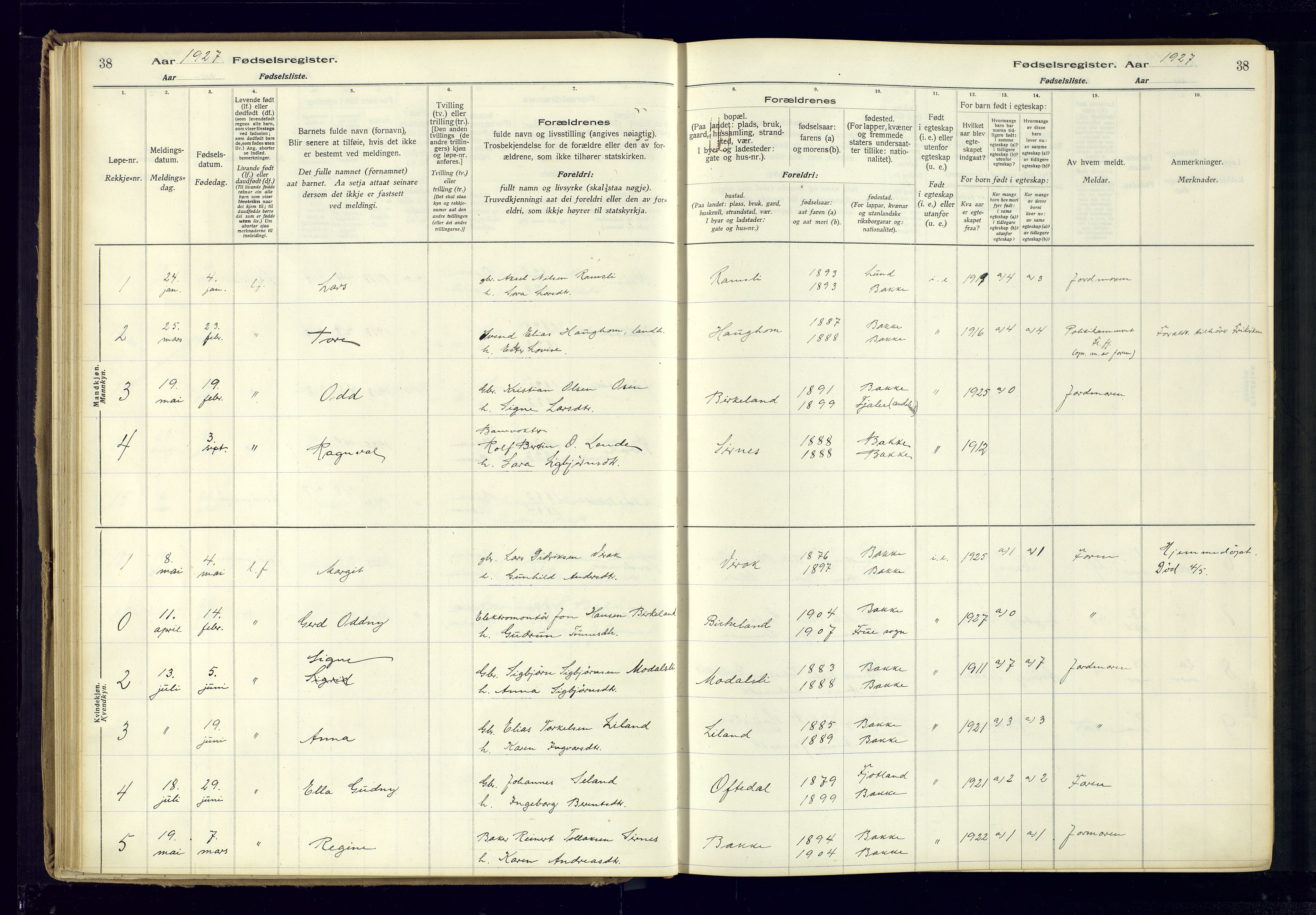 Bakke sokneprestkontor, SAK/1111-0002/J/Ja/L0001: Birth register no. A-VI-18, 1916-1982, p. 38