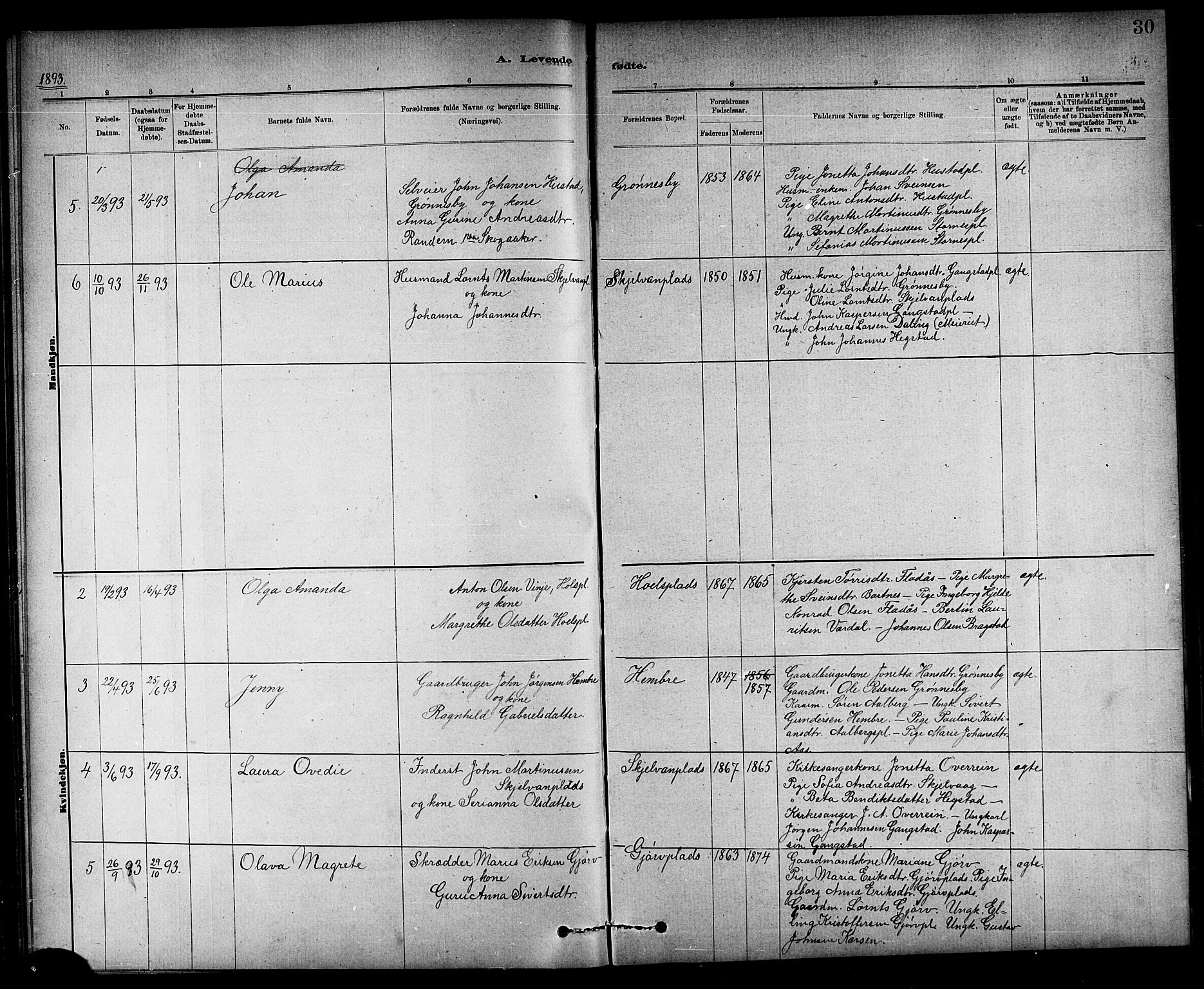 Ministerialprotokoller, klokkerbøker og fødselsregistre - Nord-Trøndelag, SAT/A-1458/732/L0318: Parish register (copy) no. 732C02, 1881-1911, p. 30