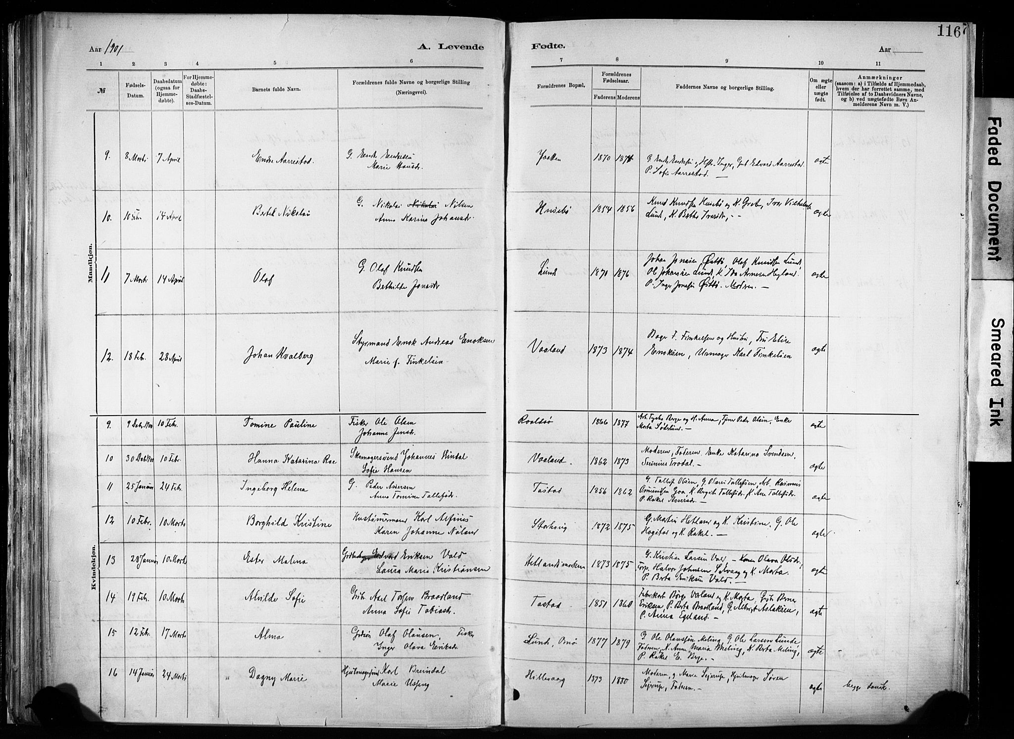 Hetland sokneprestkontor, SAST/A-101826/30/30BA/L0011: Parish register (official) no. A 11, 1884-1911, p. 116