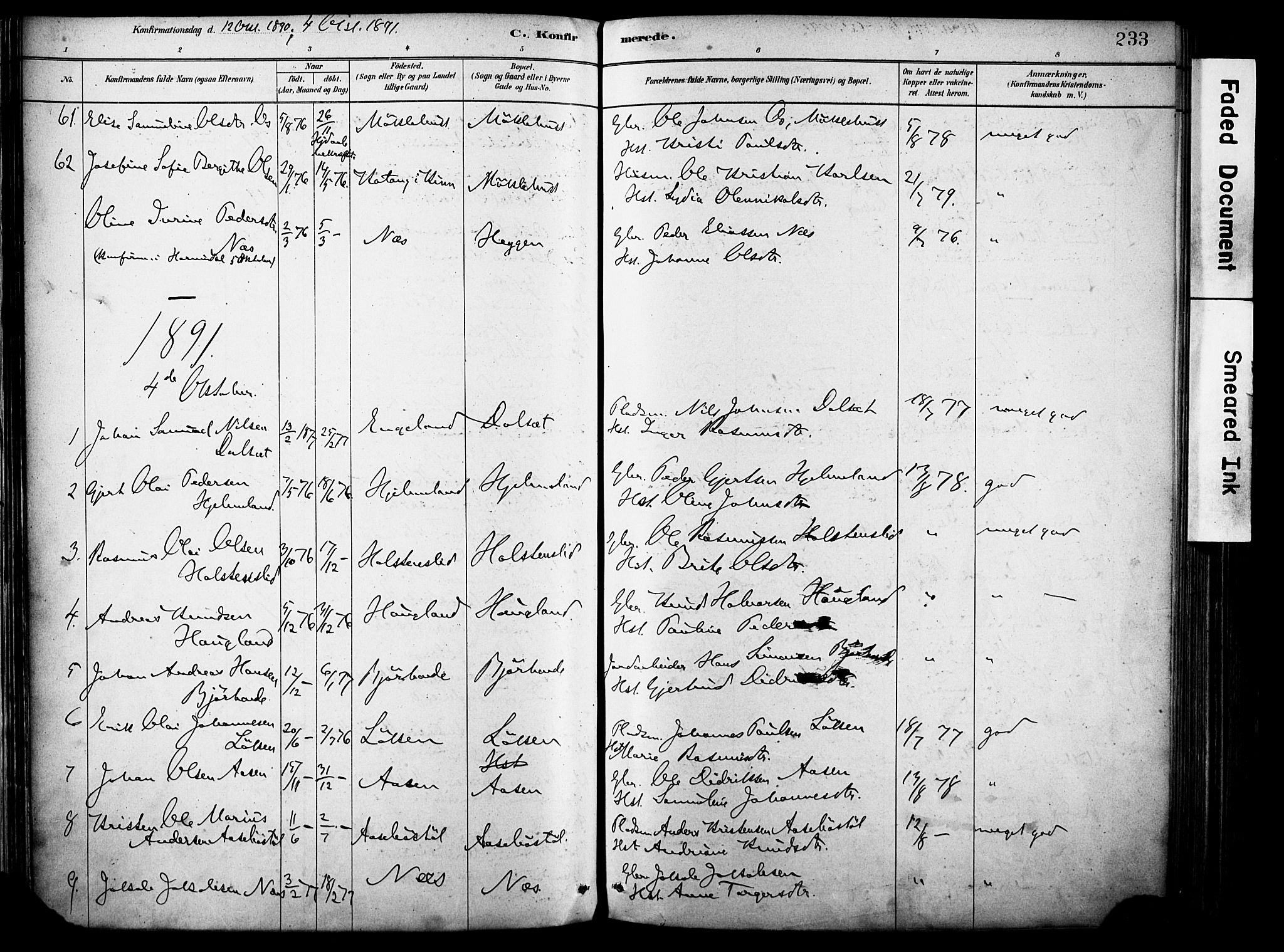 Eid sokneprestembete, AV/SAB-A-82301/H/Haa/Haab/L0001: Parish register (official) no. B 1, 1879-1906, p. 233