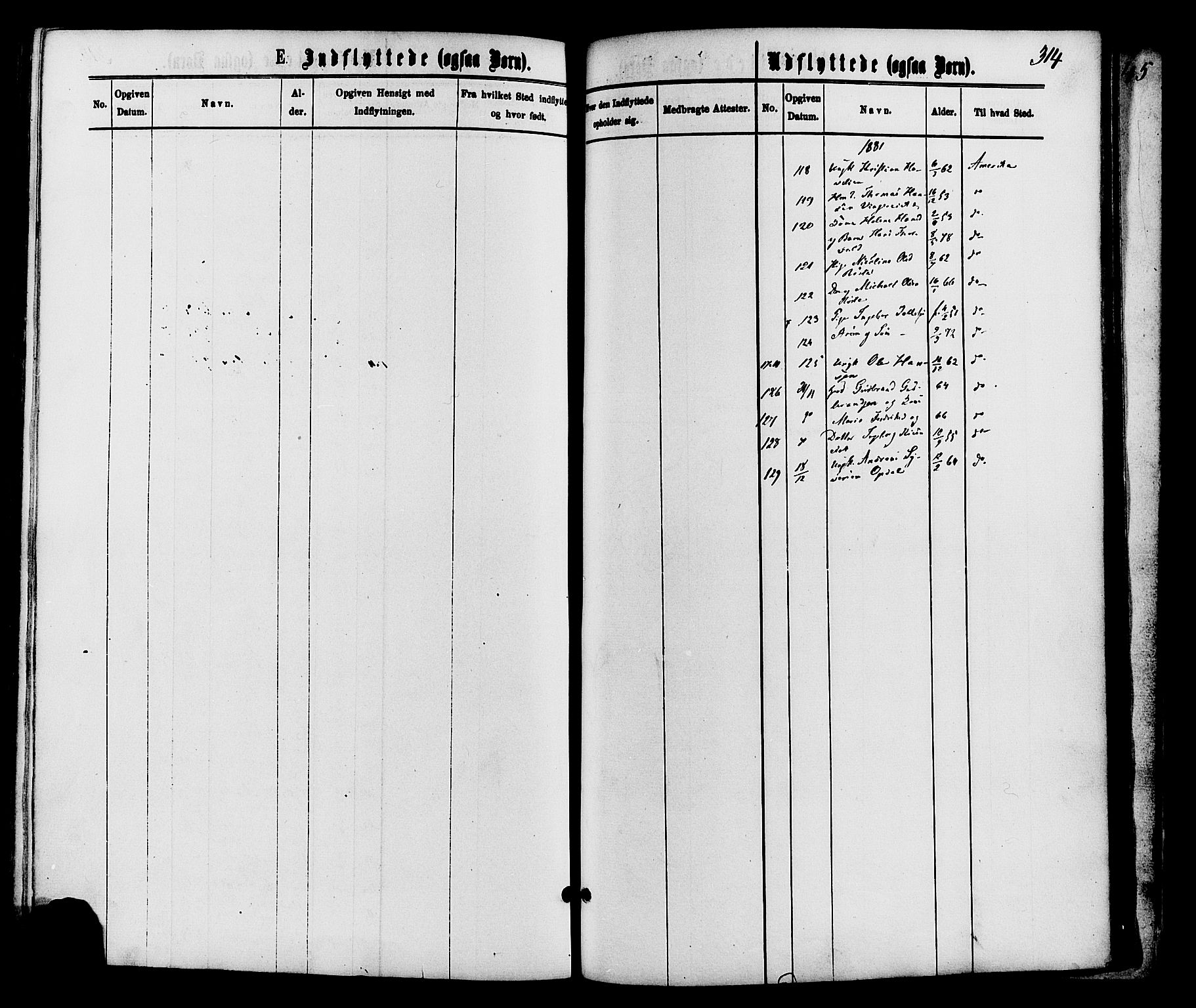 Nordre Land prestekontor, AV/SAH-PREST-124/H/Ha/Haa/L0002: Parish register (official) no. 2, 1872-1881, p. 314