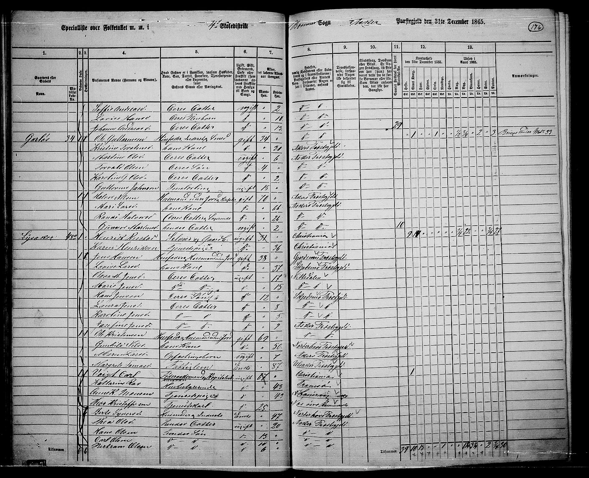 RA, 1865 census for Asker, 1865, p. 173