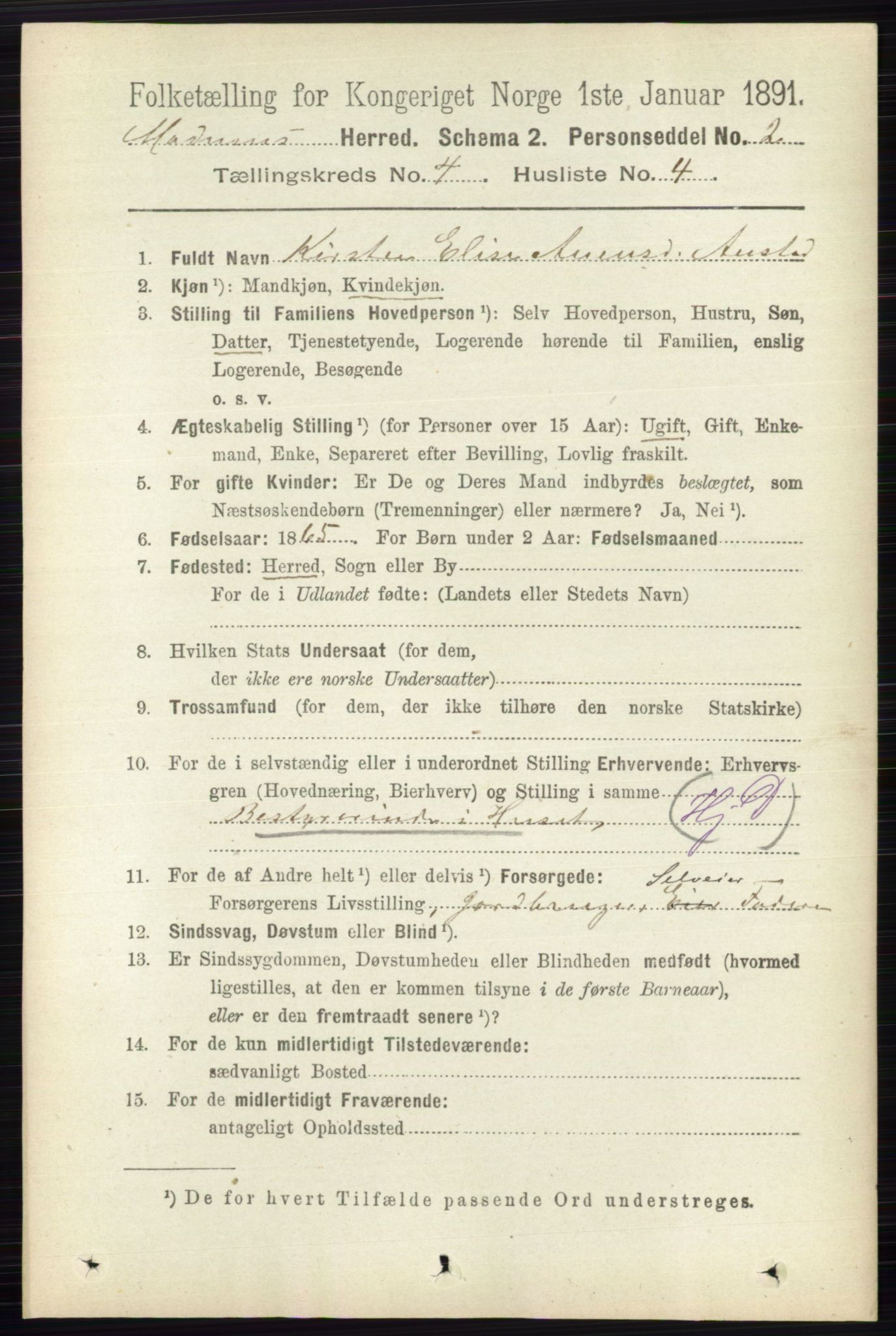 RA, 1891 census for 0623 Modum, 1891, p. 1007