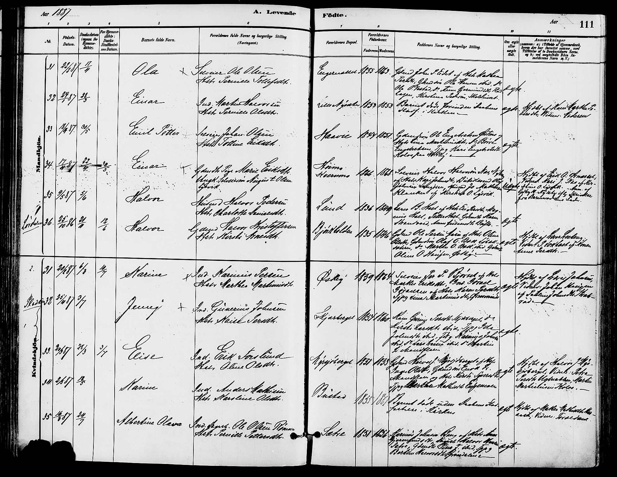 Trysil prestekontor, SAH/PREST-046/H/Ha/Haa/L0008: Parish register (official) no. 8, 1881-1897, p. 111