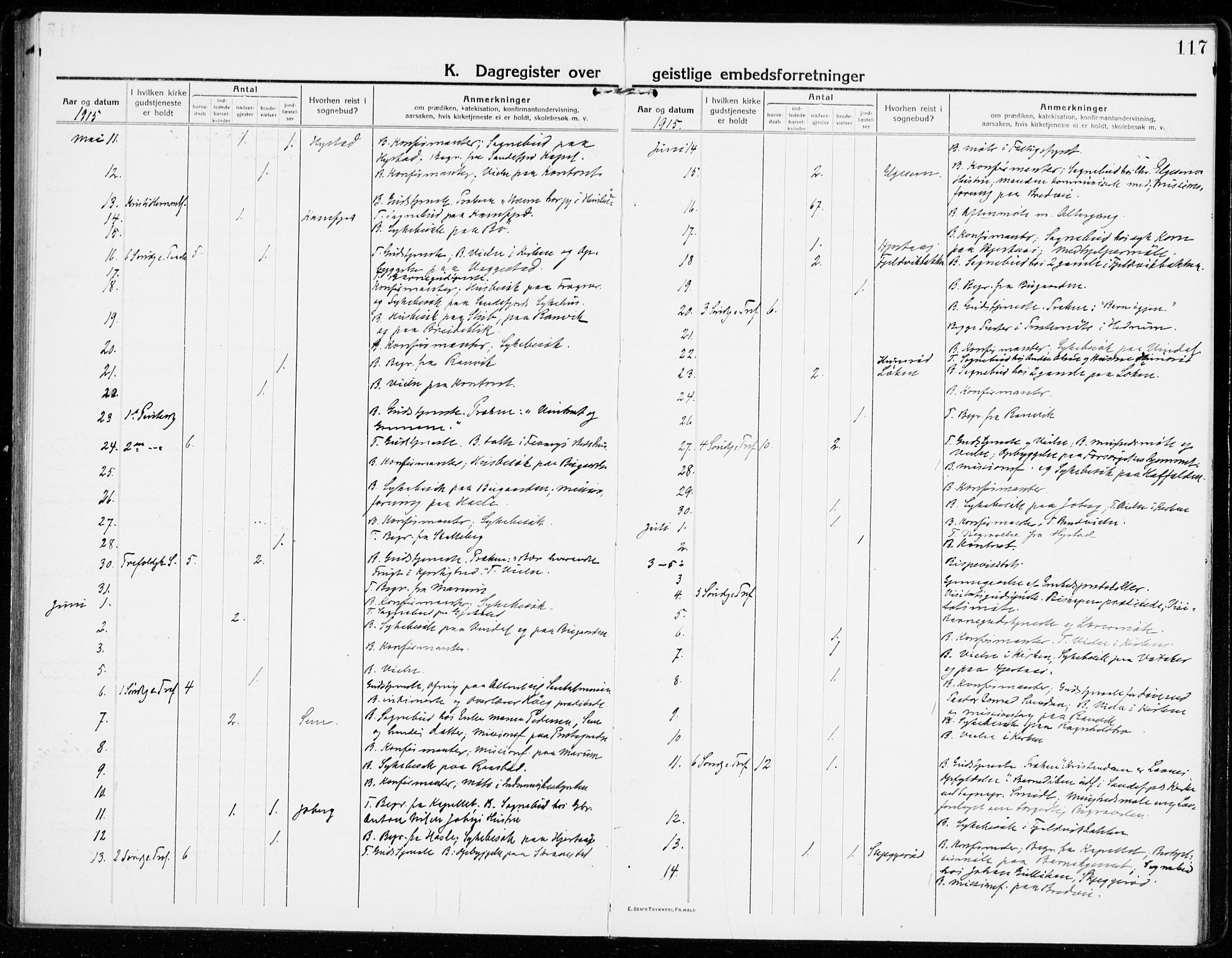 Sandar kirkebøker, AV/SAKO-A-243/F/Fa/L0020: Parish register (official) no. 20, 1915-1919, p. 117