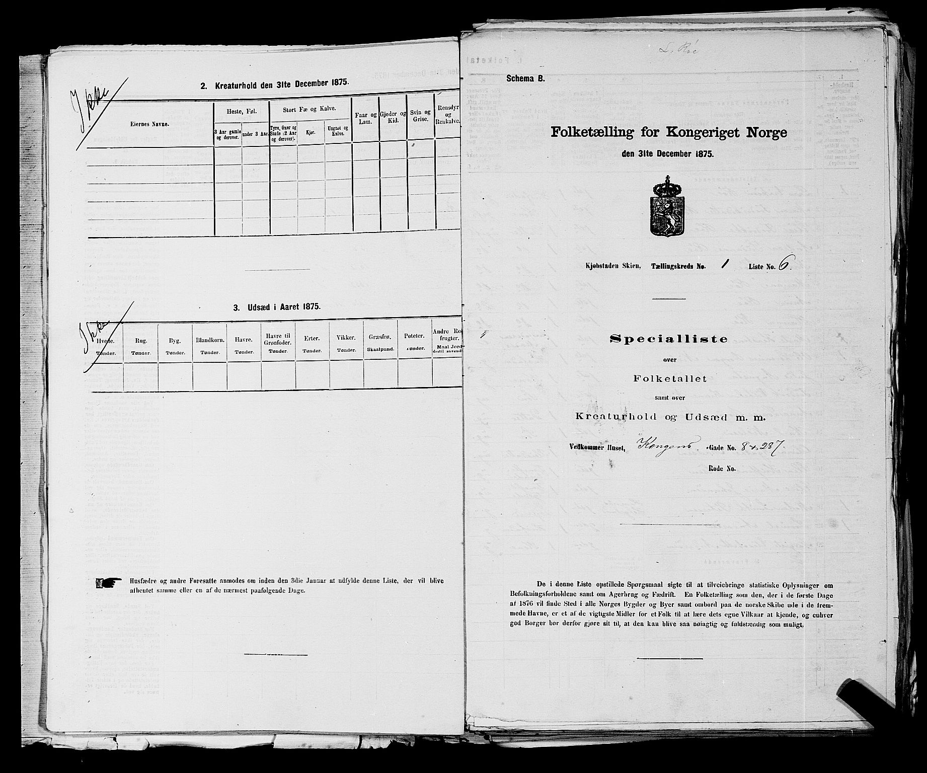 SAKO, 1875 census for 0806P Skien, 1875, p. 38