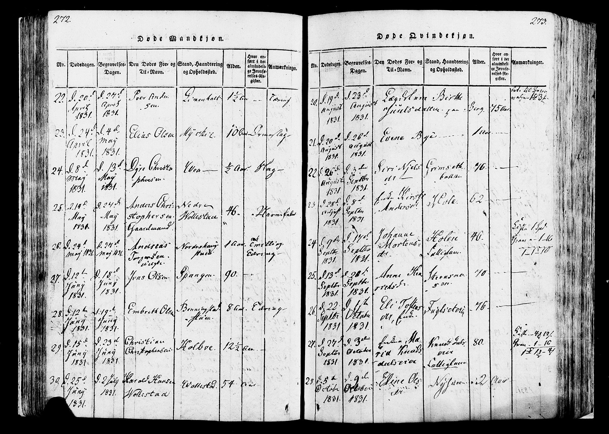 Løten prestekontor, SAH/PREST-022/K/Ka/L0005: Parish register (official) no. 5, 1814-1832, p. 272-273