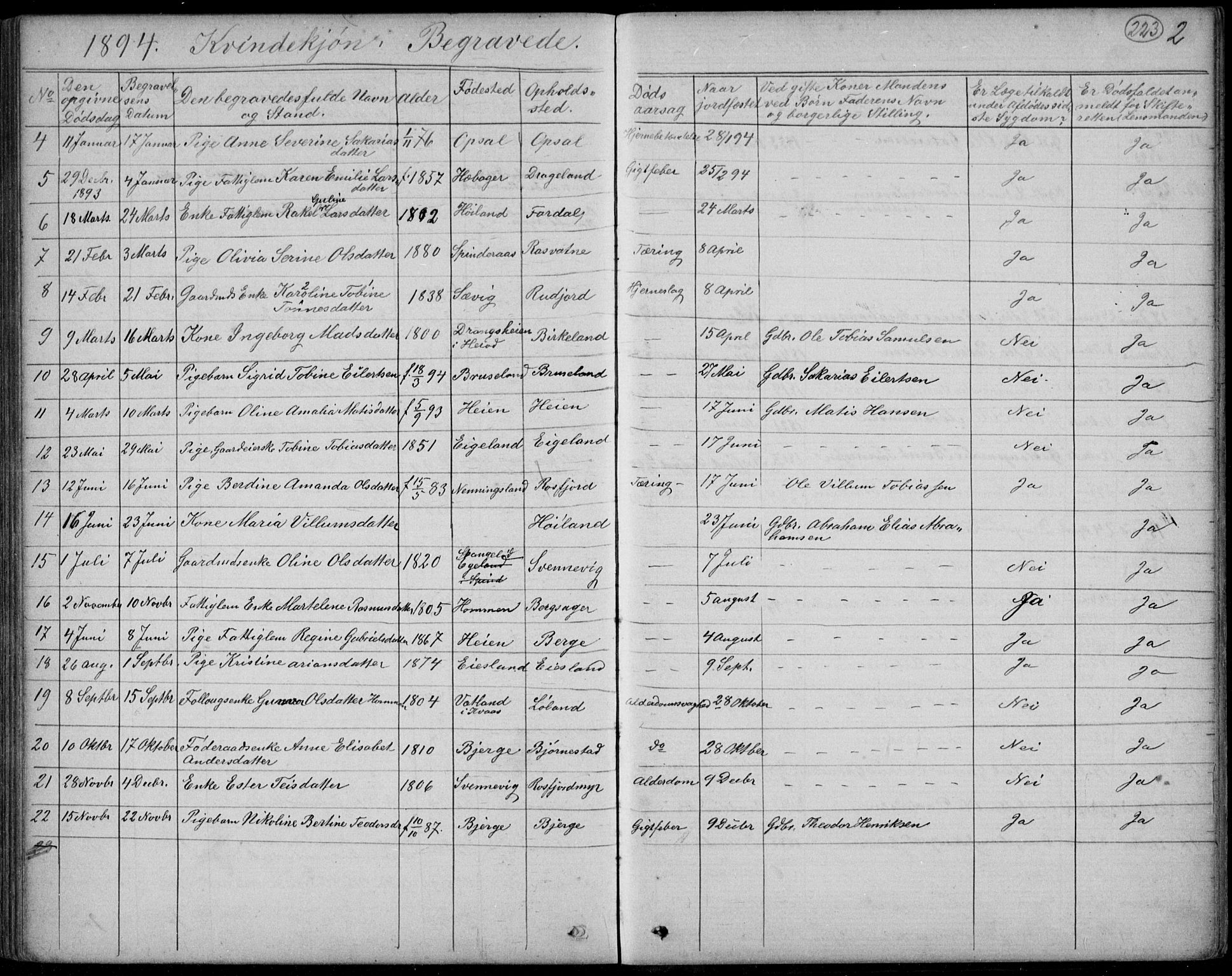 Lyngdal sokneprestkontor, AV/SAK-1111-0029/F/Fb/Fbc/L0004: Parish register (copy) no. B 4, 1878-1896, p. 223