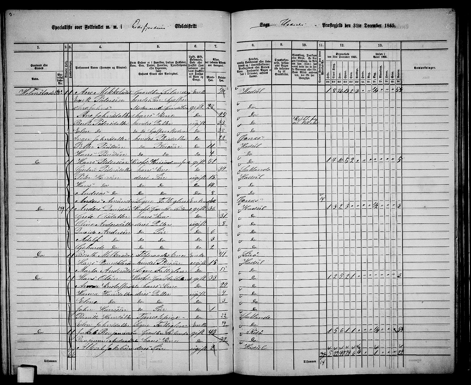 RA, 1865 census for Hadsel, 1865, p. 120