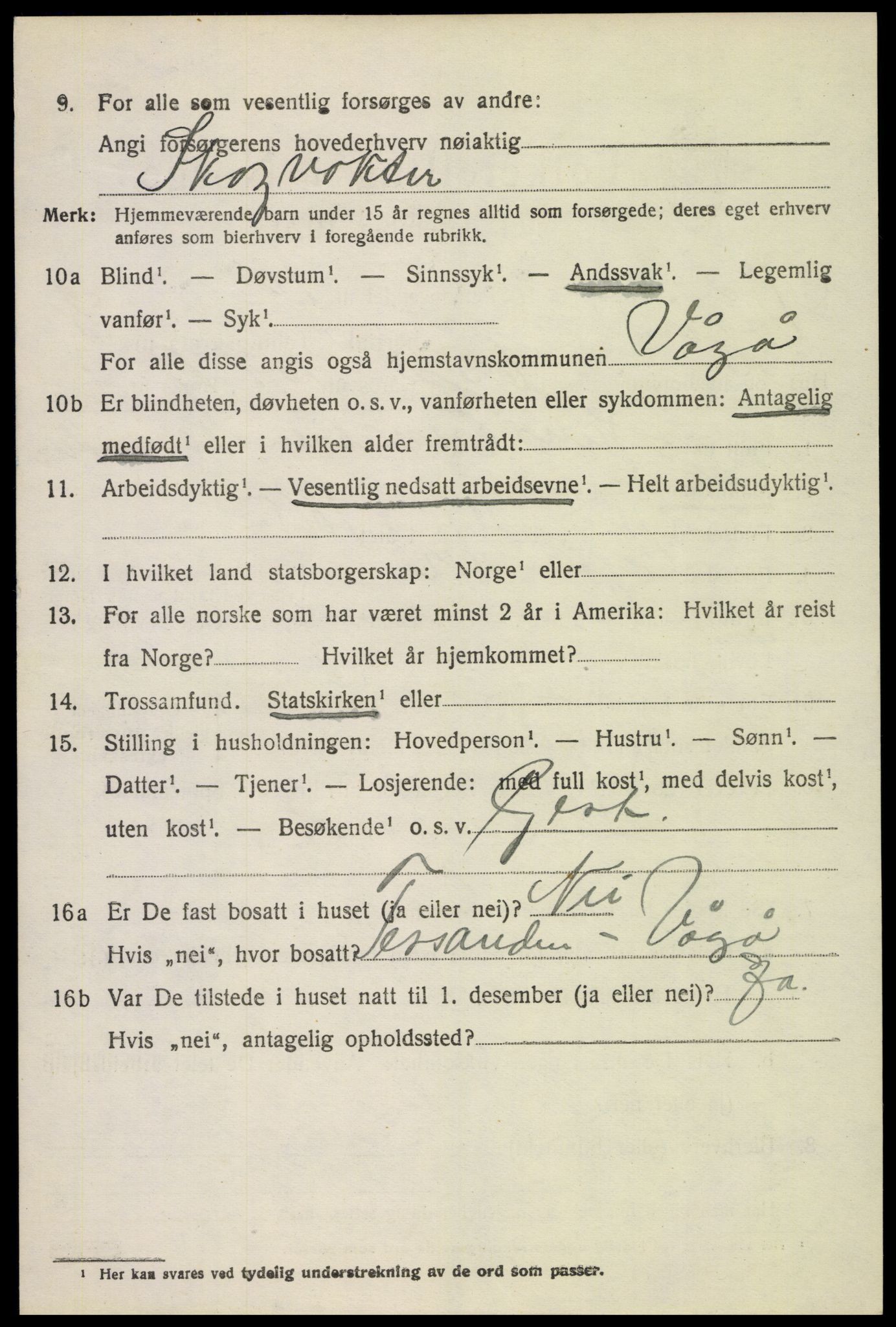 SAH, 1920 census for Vågå, 1920, p. 3377